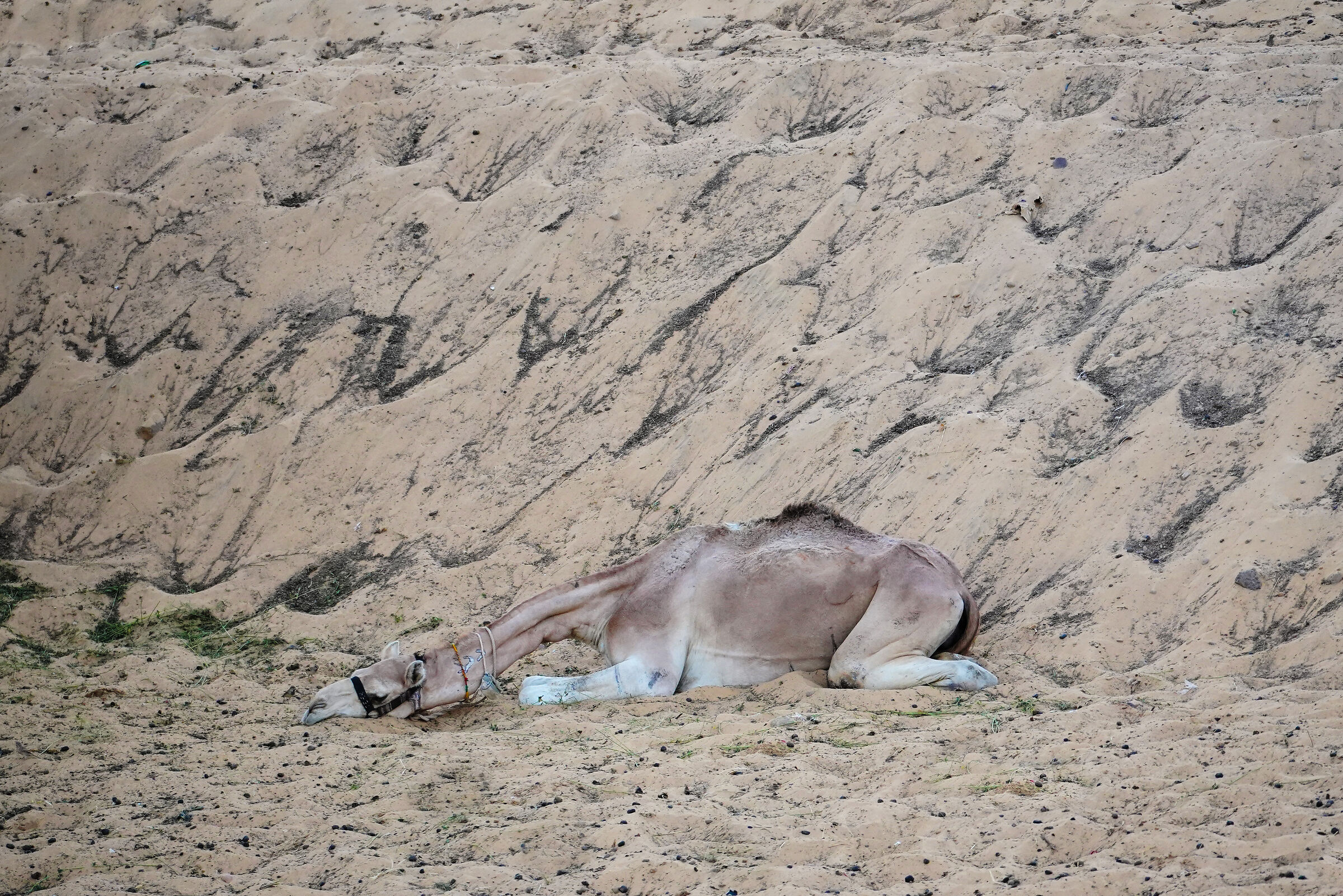 The tiredness of the day