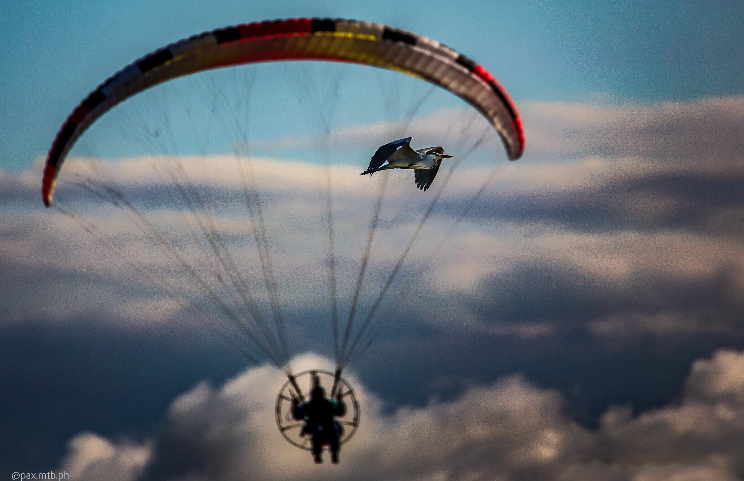 In-flight disturbance