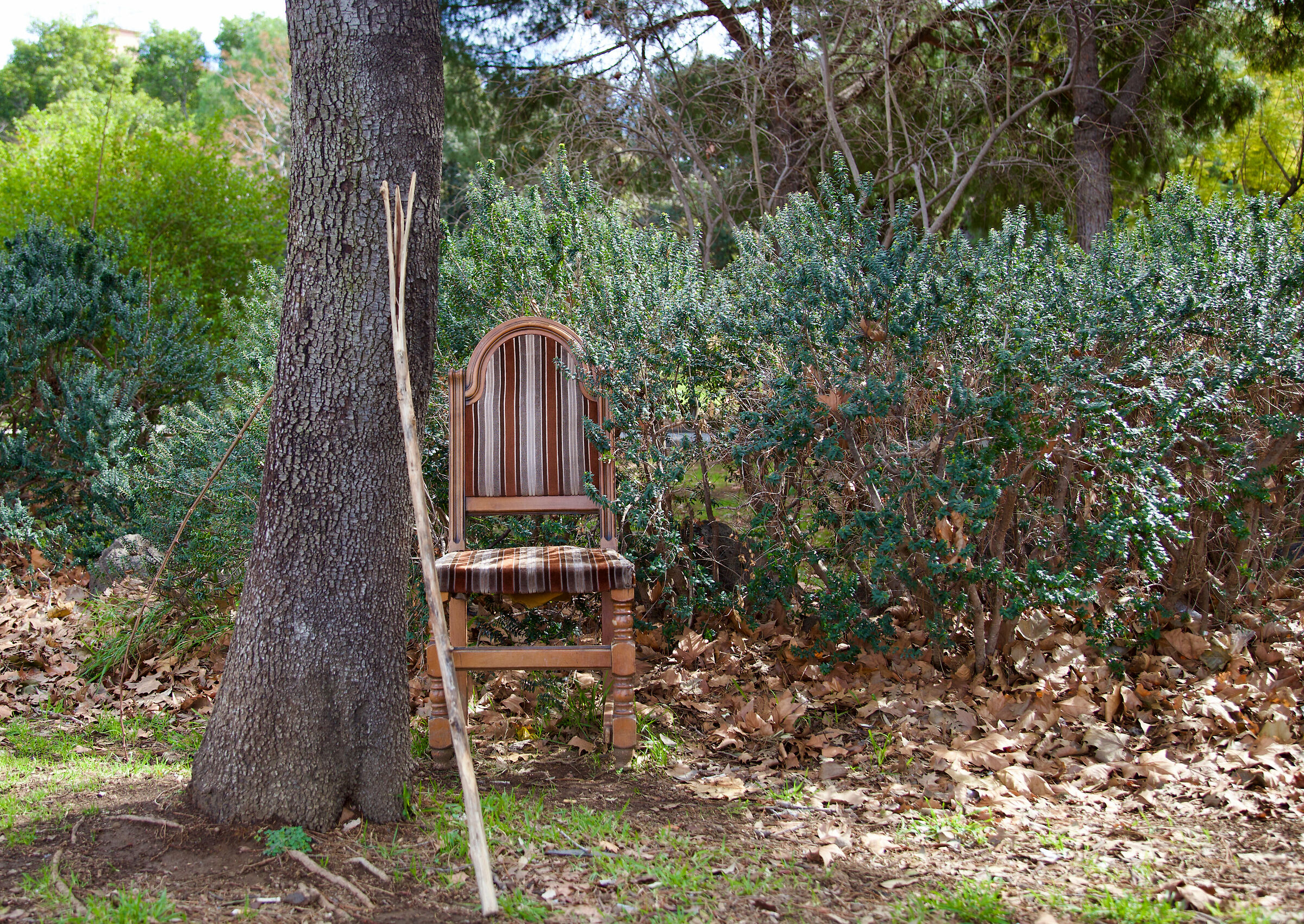 Waiting for the King