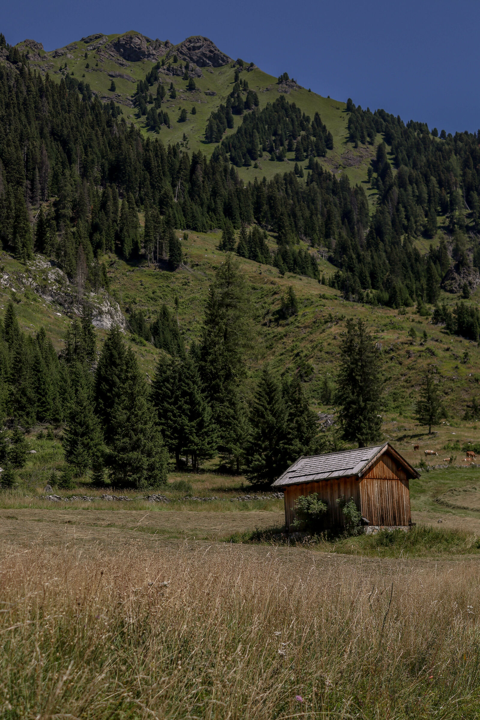 Untitled Photo