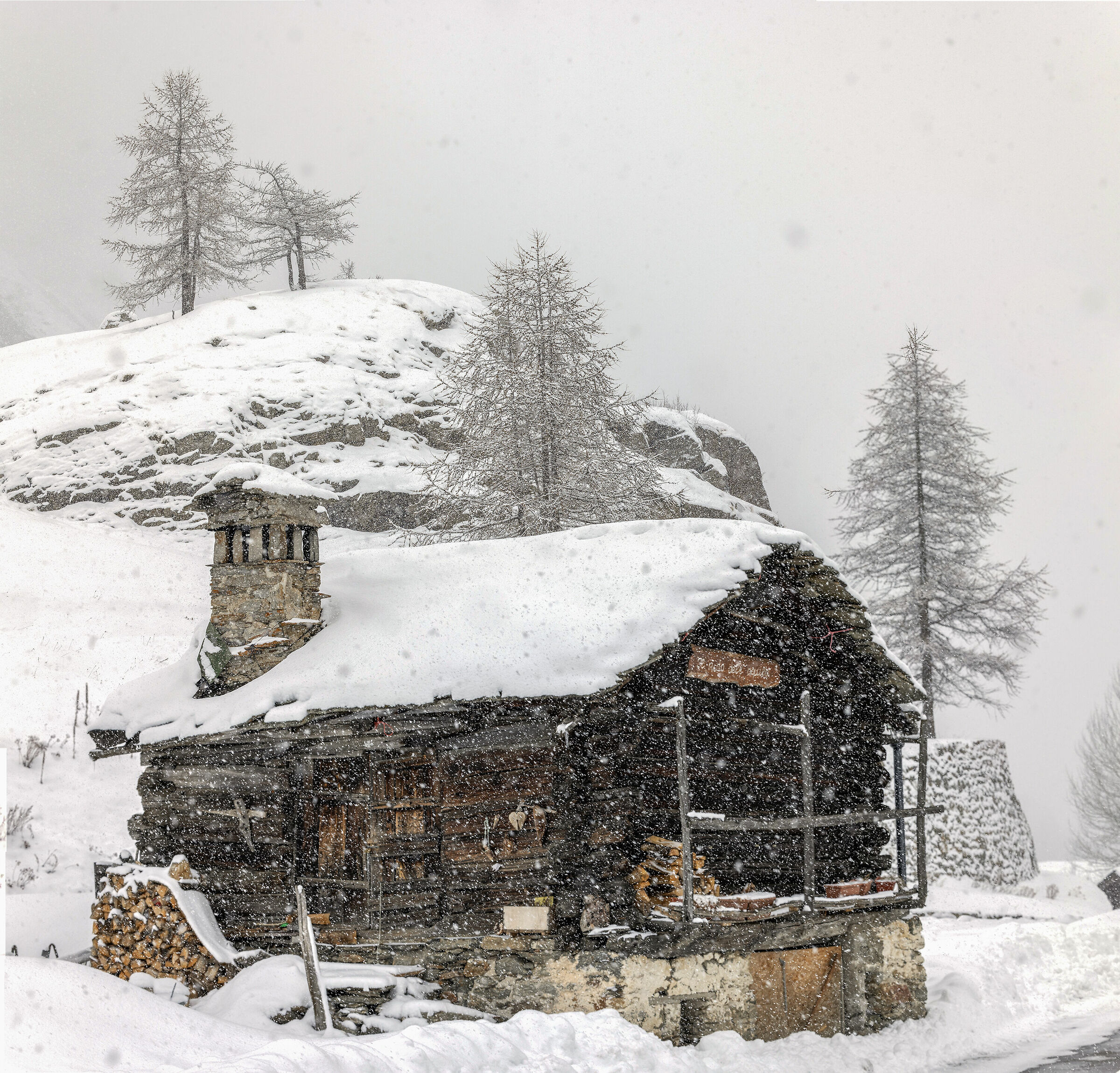 cerco di esserci ogni volta...