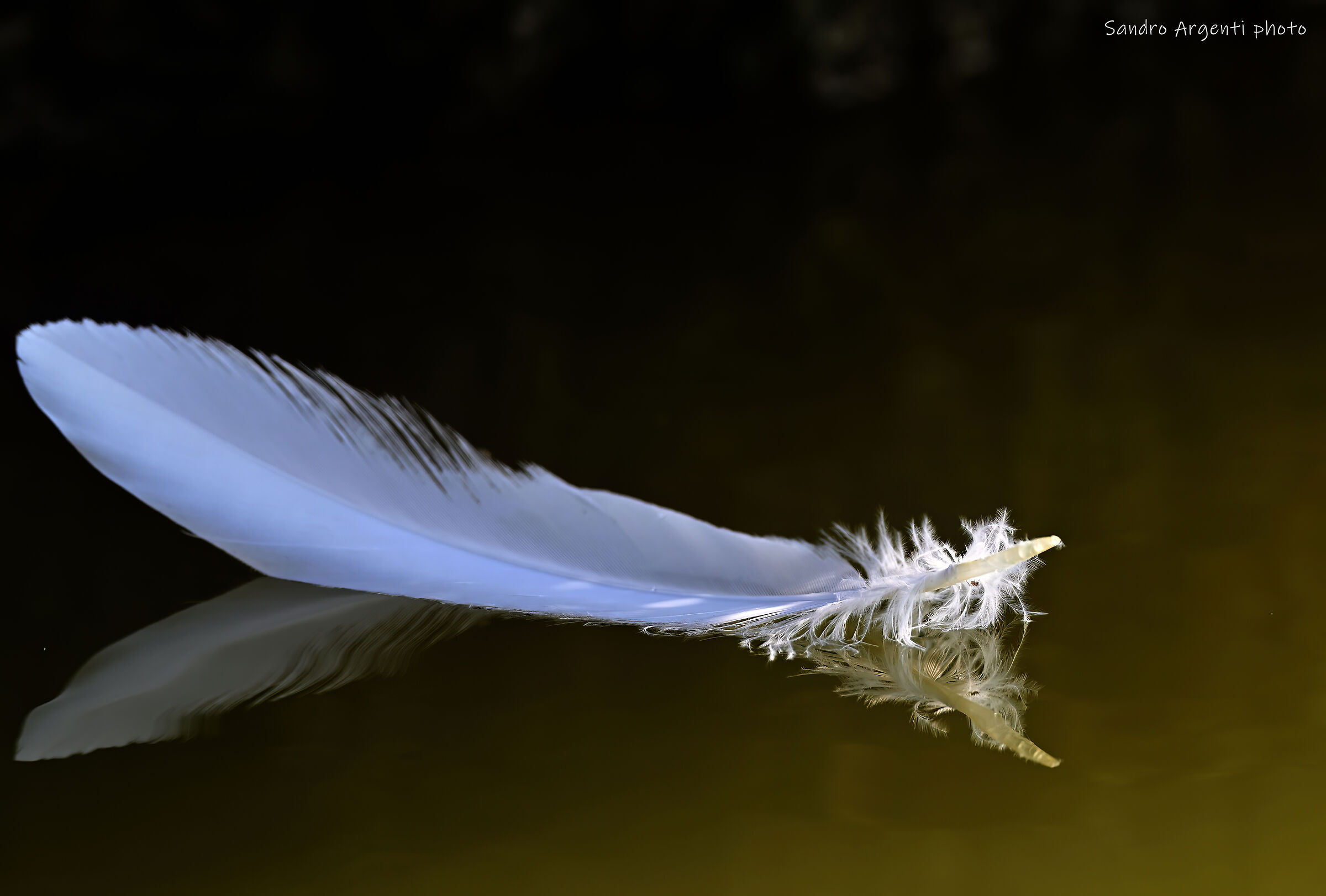 Pace, leggerezza, semplicità, serenità.