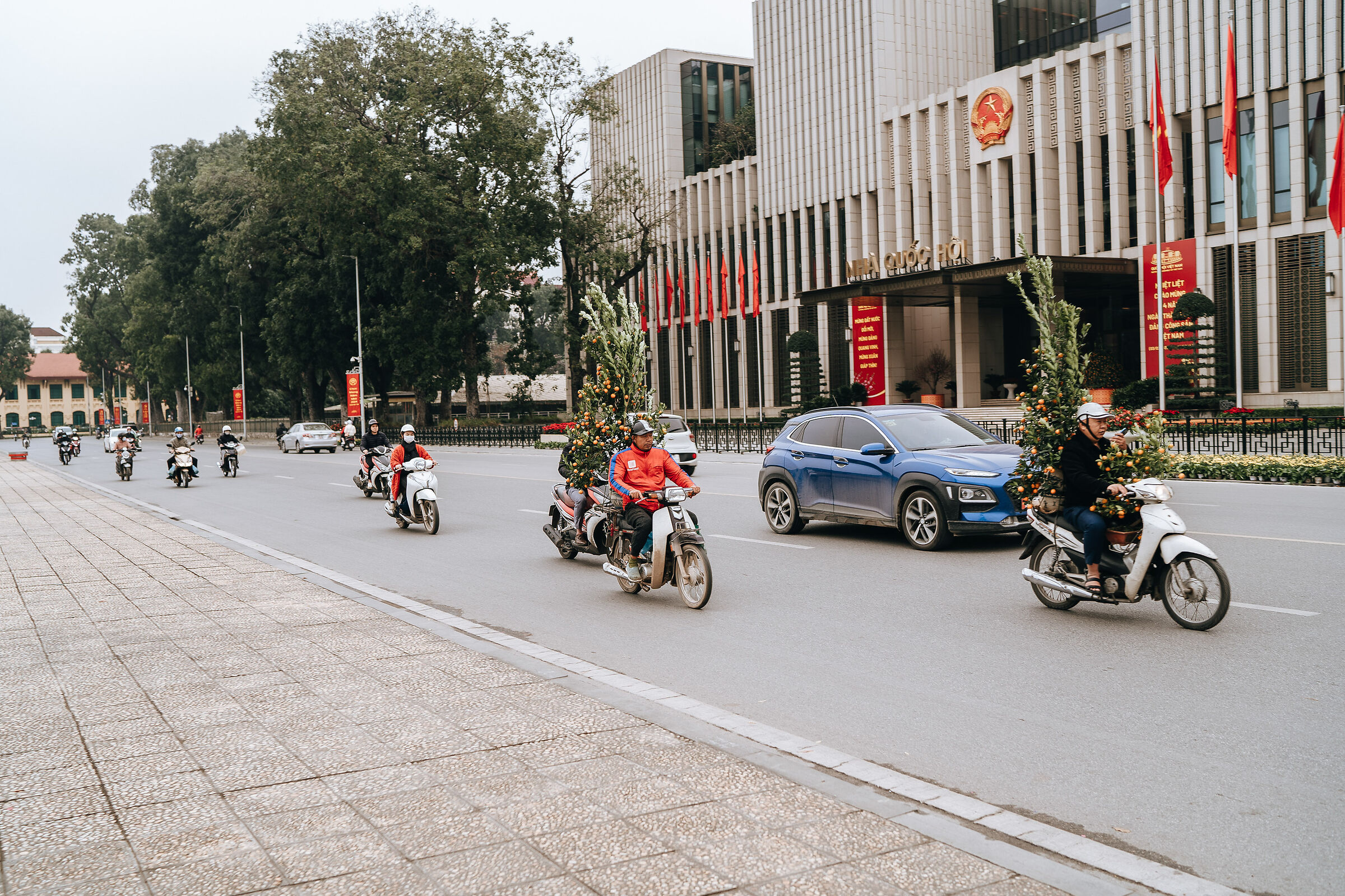 alberelli per il Tet