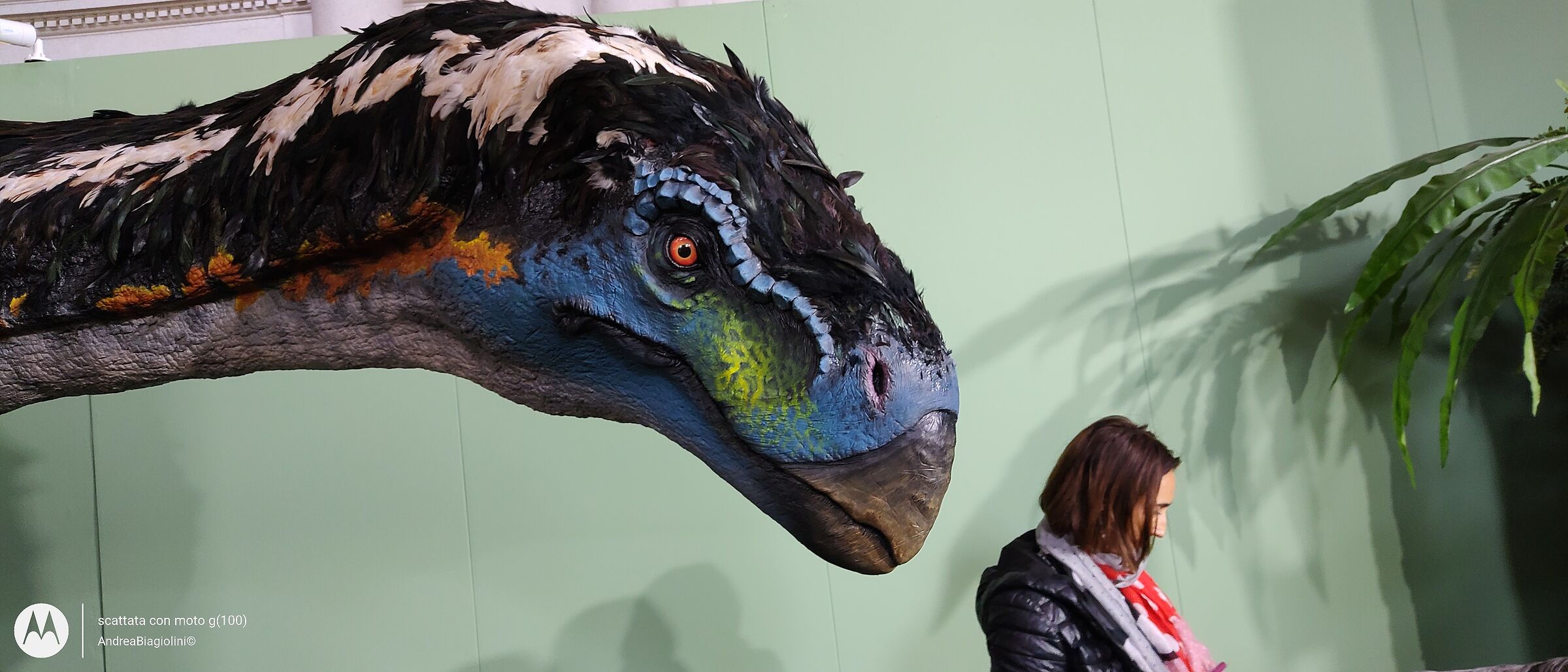 ...ma nel selfie non ci sto !