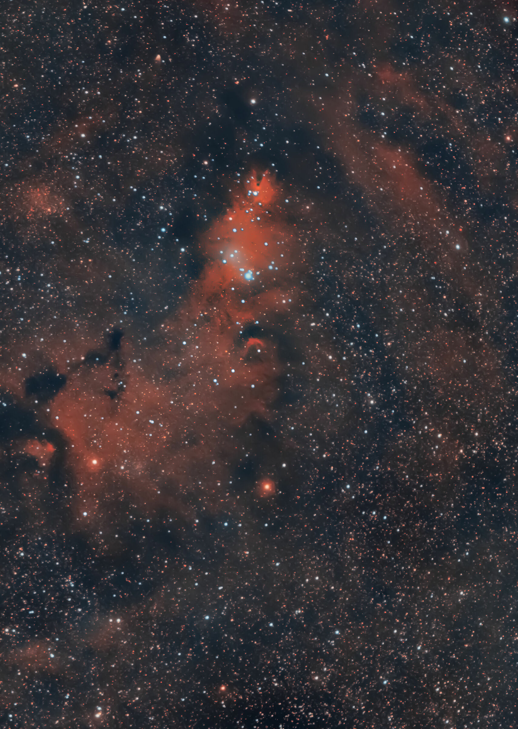 NGC 2264
