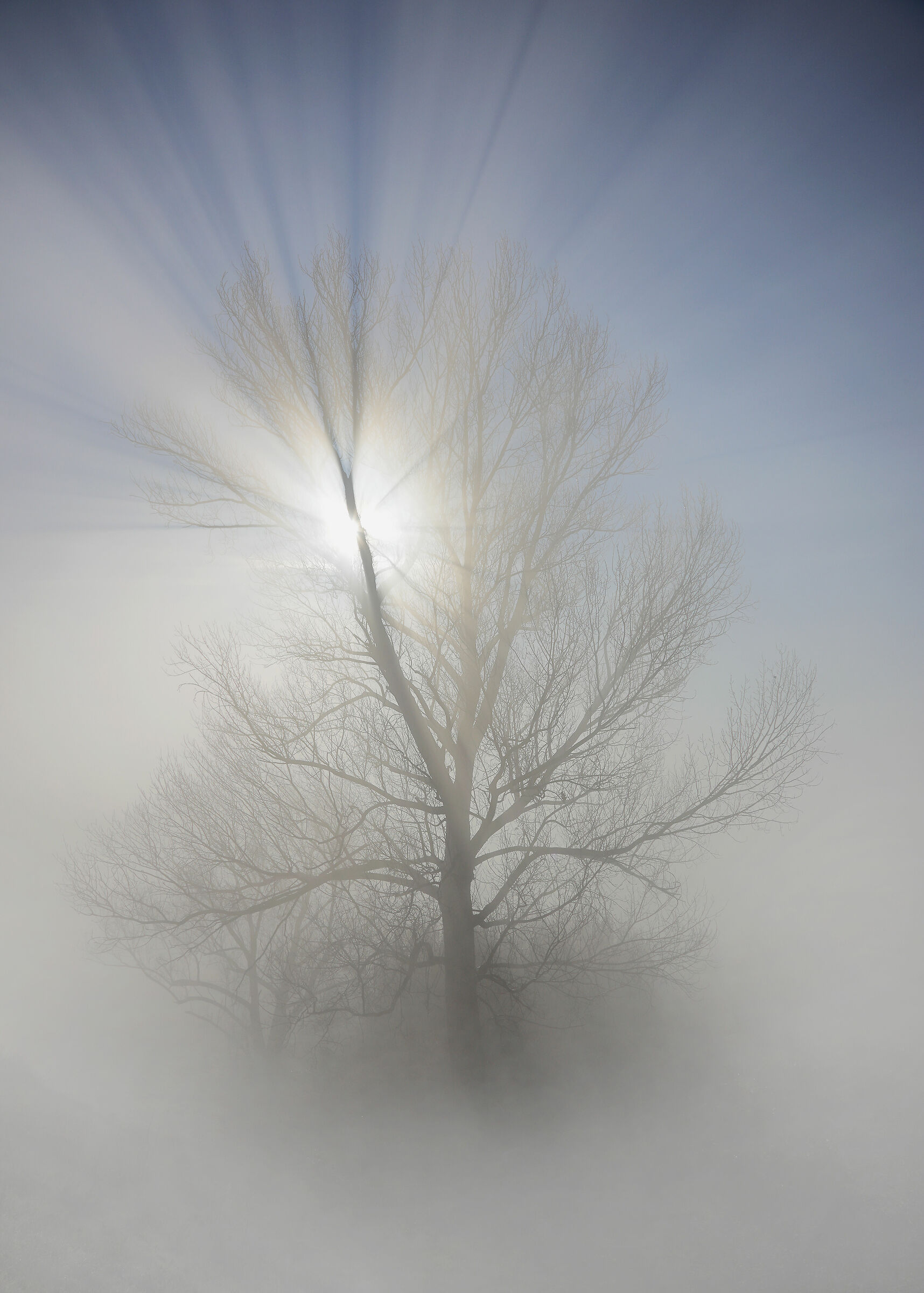 luce nella nebbia