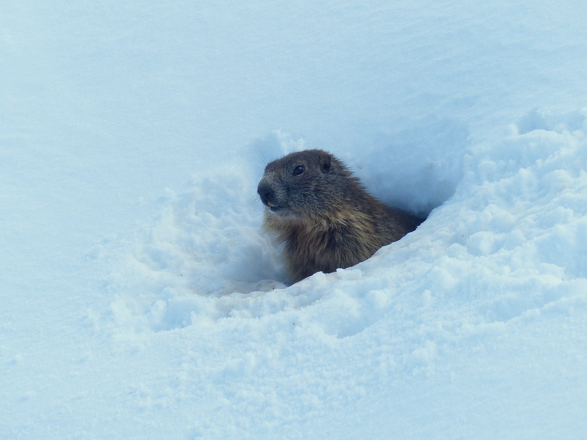 E' quasi estate ????