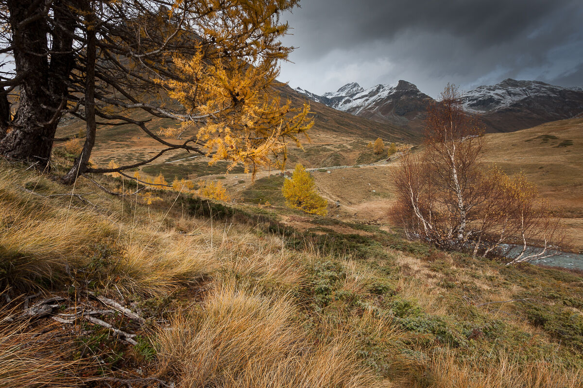 Autumn in Val da Fain ...