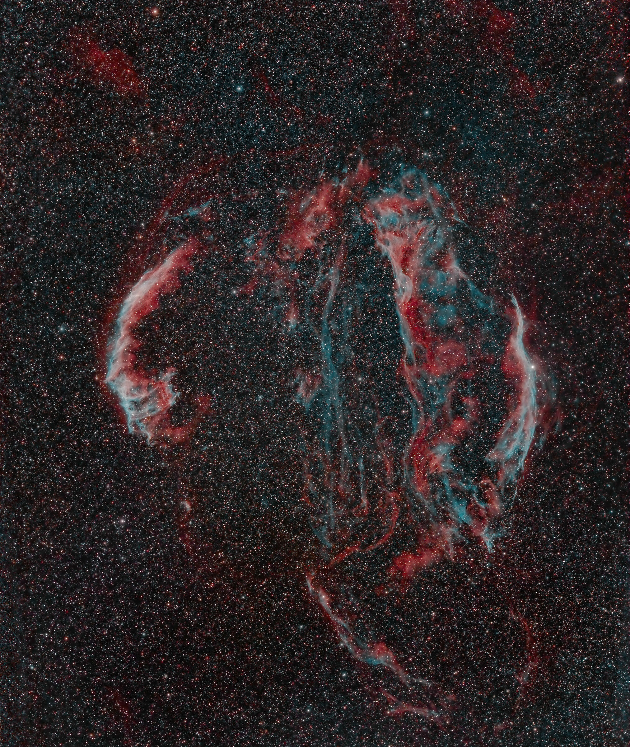 Resti Supernova Cigno