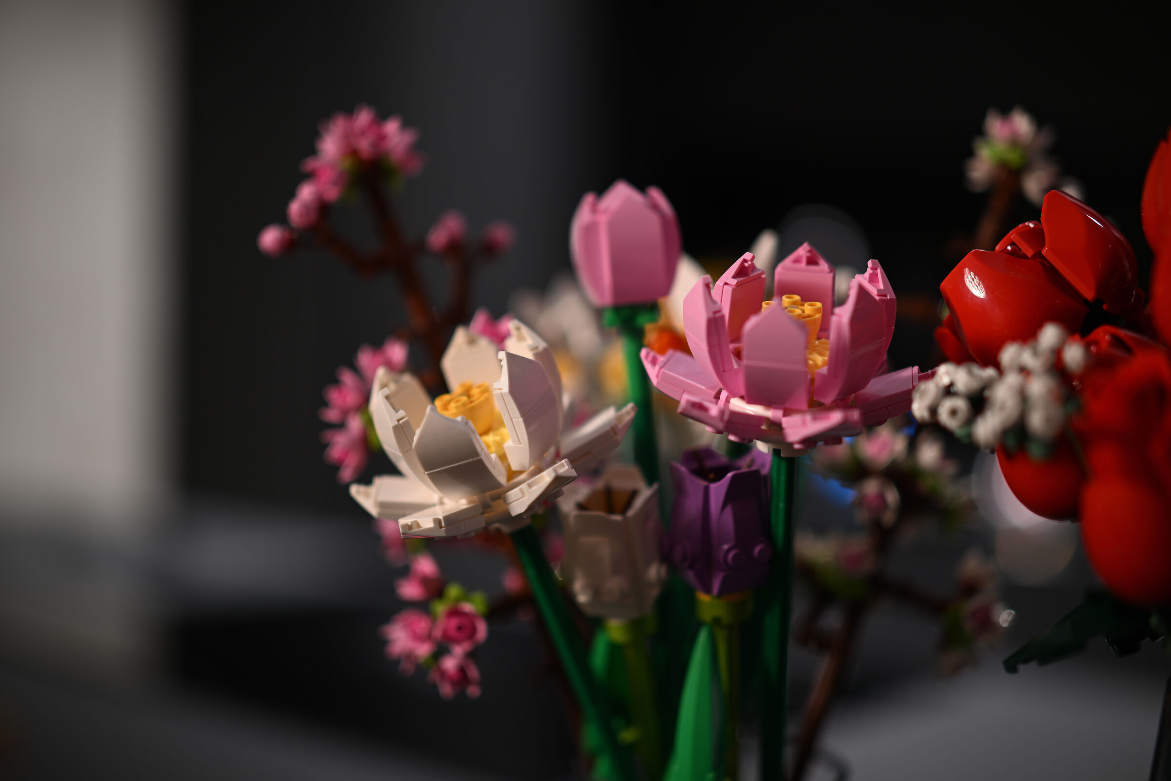 Test Milvus 50 1.4 su Z8