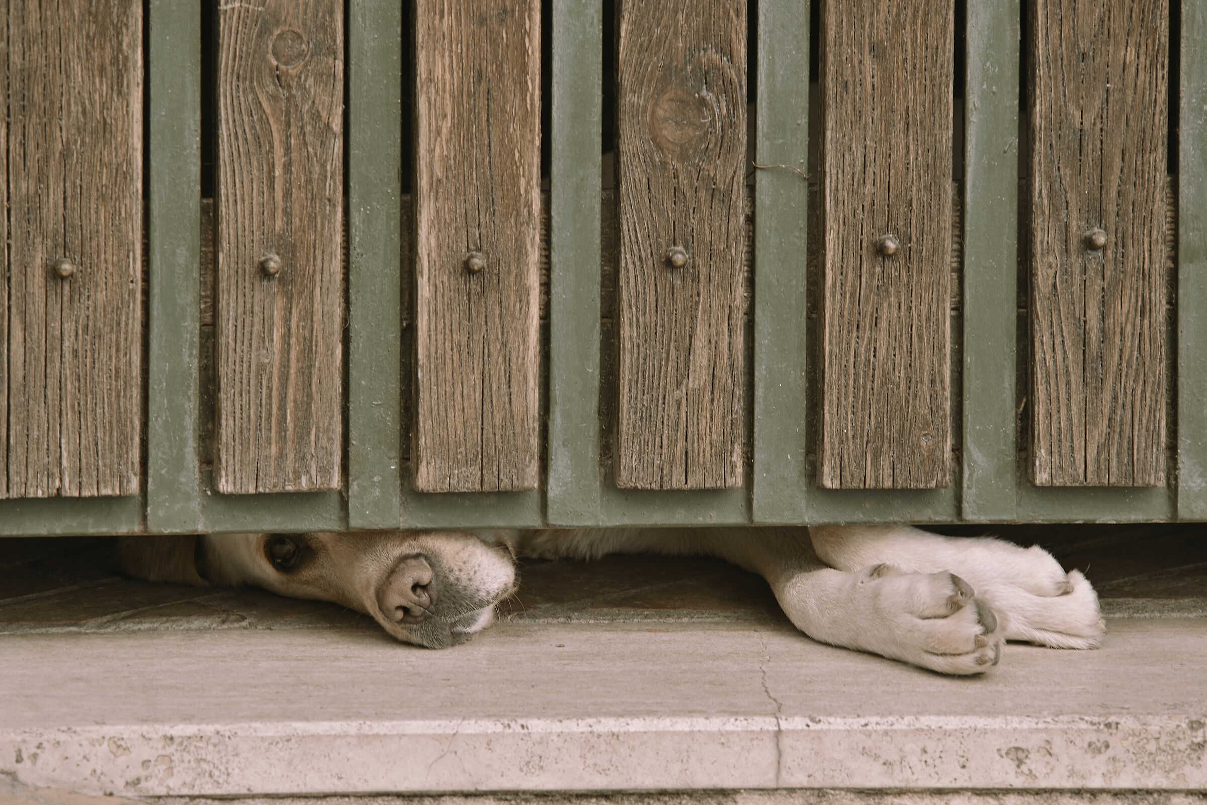 In cerca di contatto