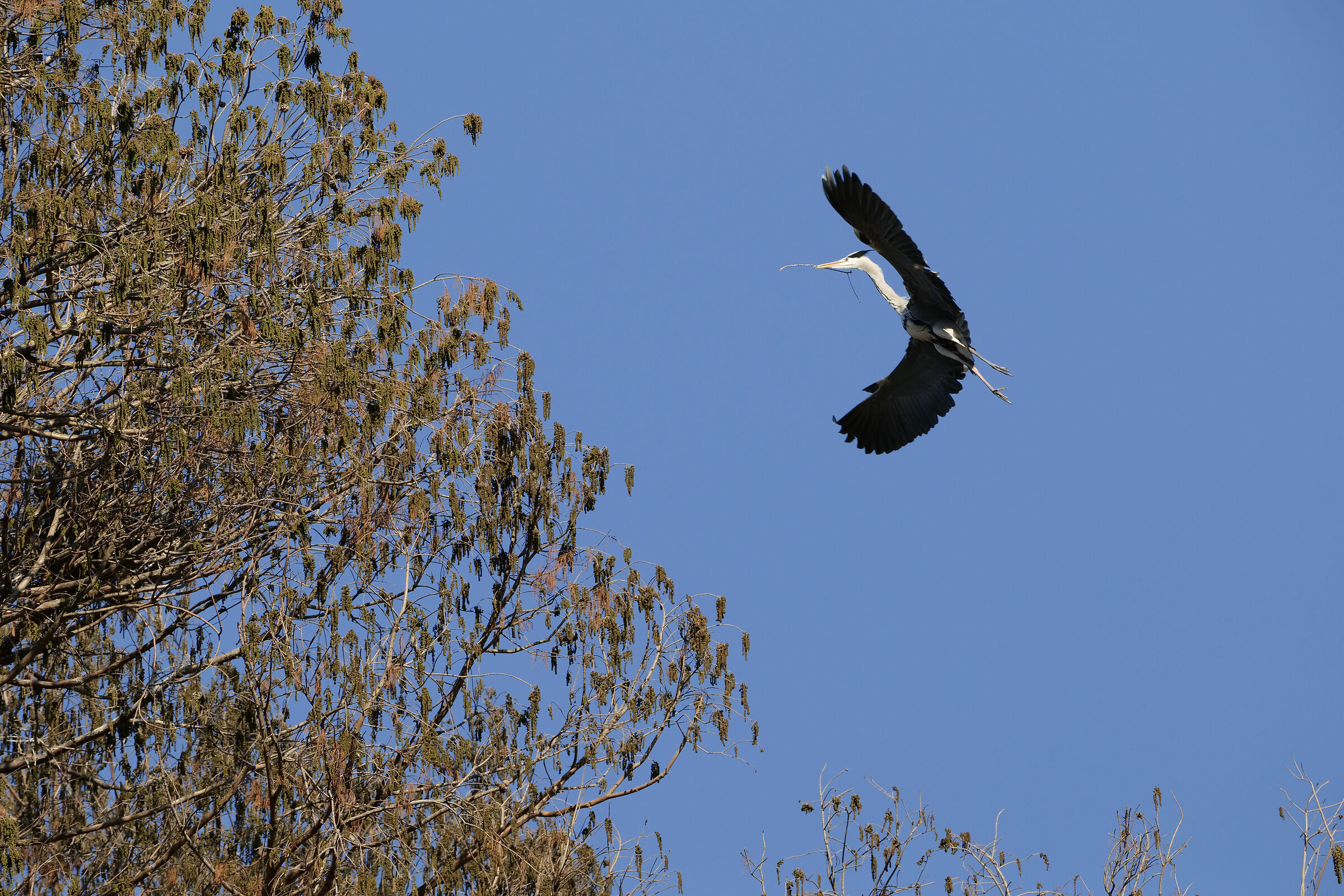 materiale da costruzione aviotrasportati