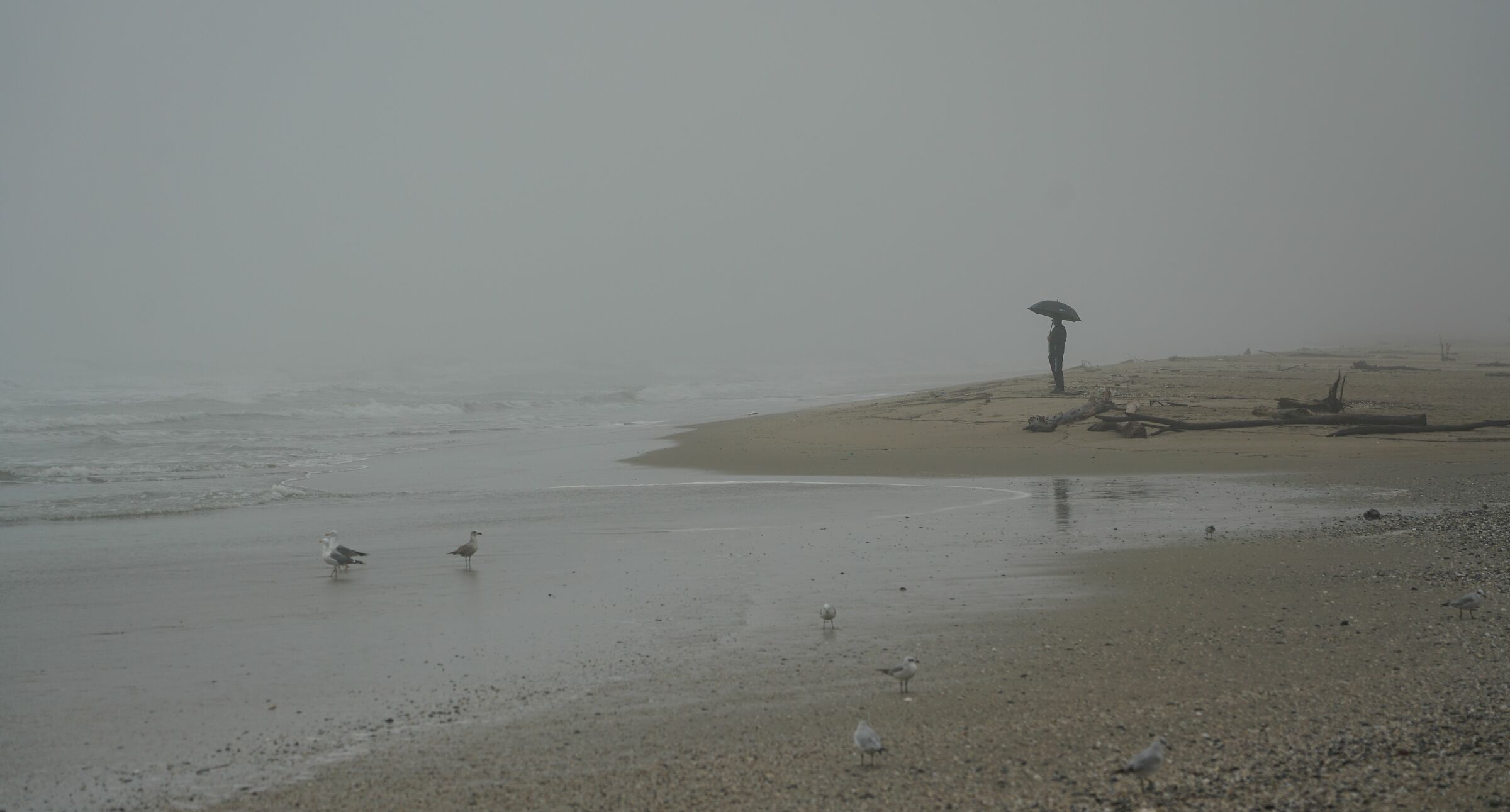 Ricerca di solitudine