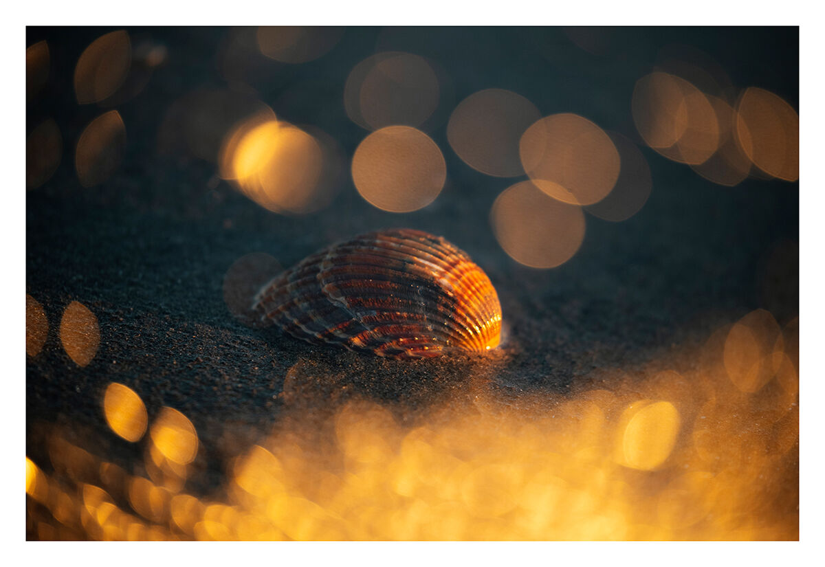 When the sun goes down