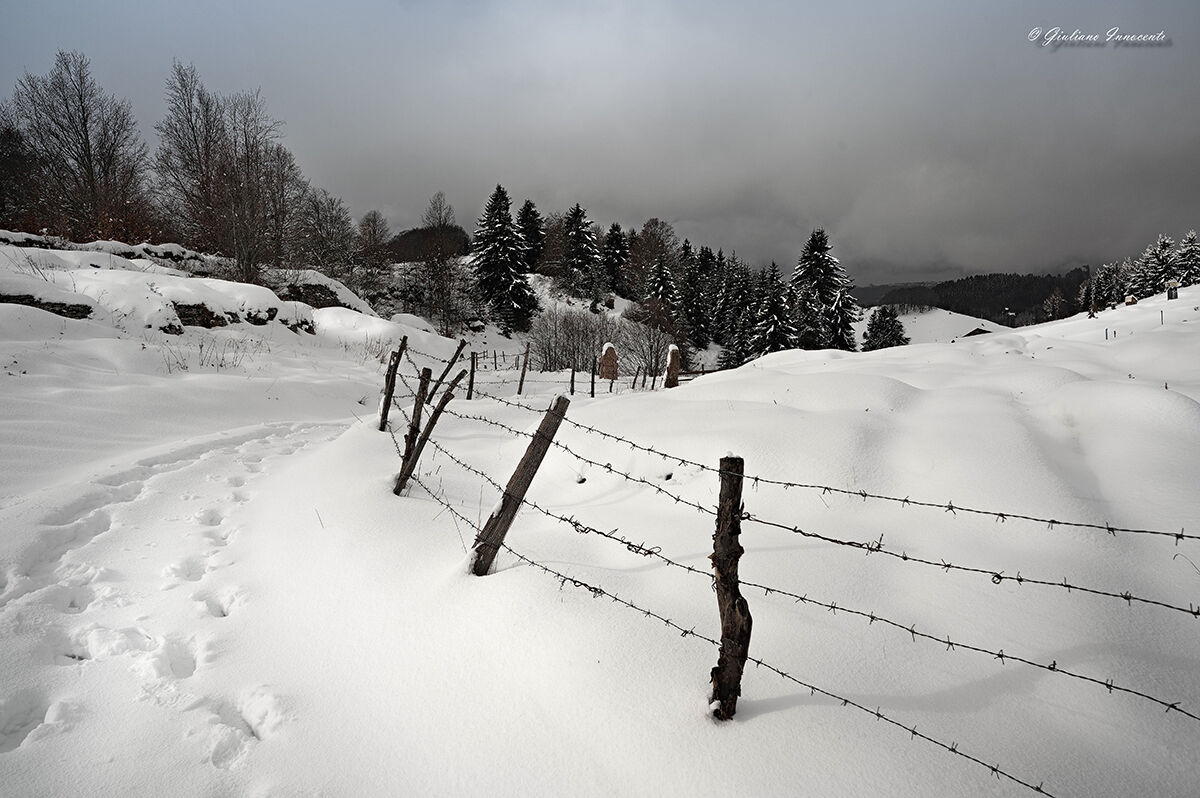 Snowfall at the end of February