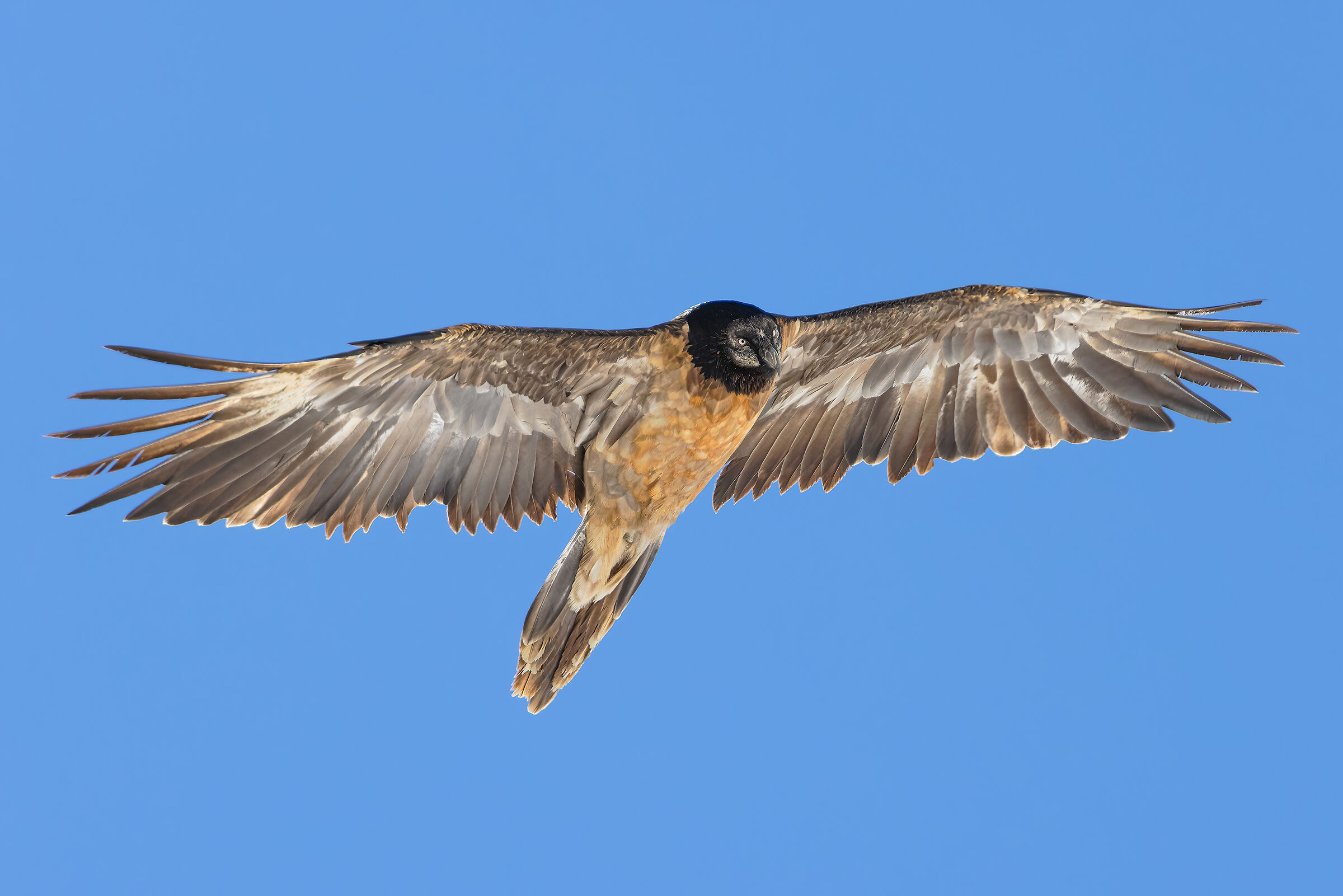 Reconnaissance flight