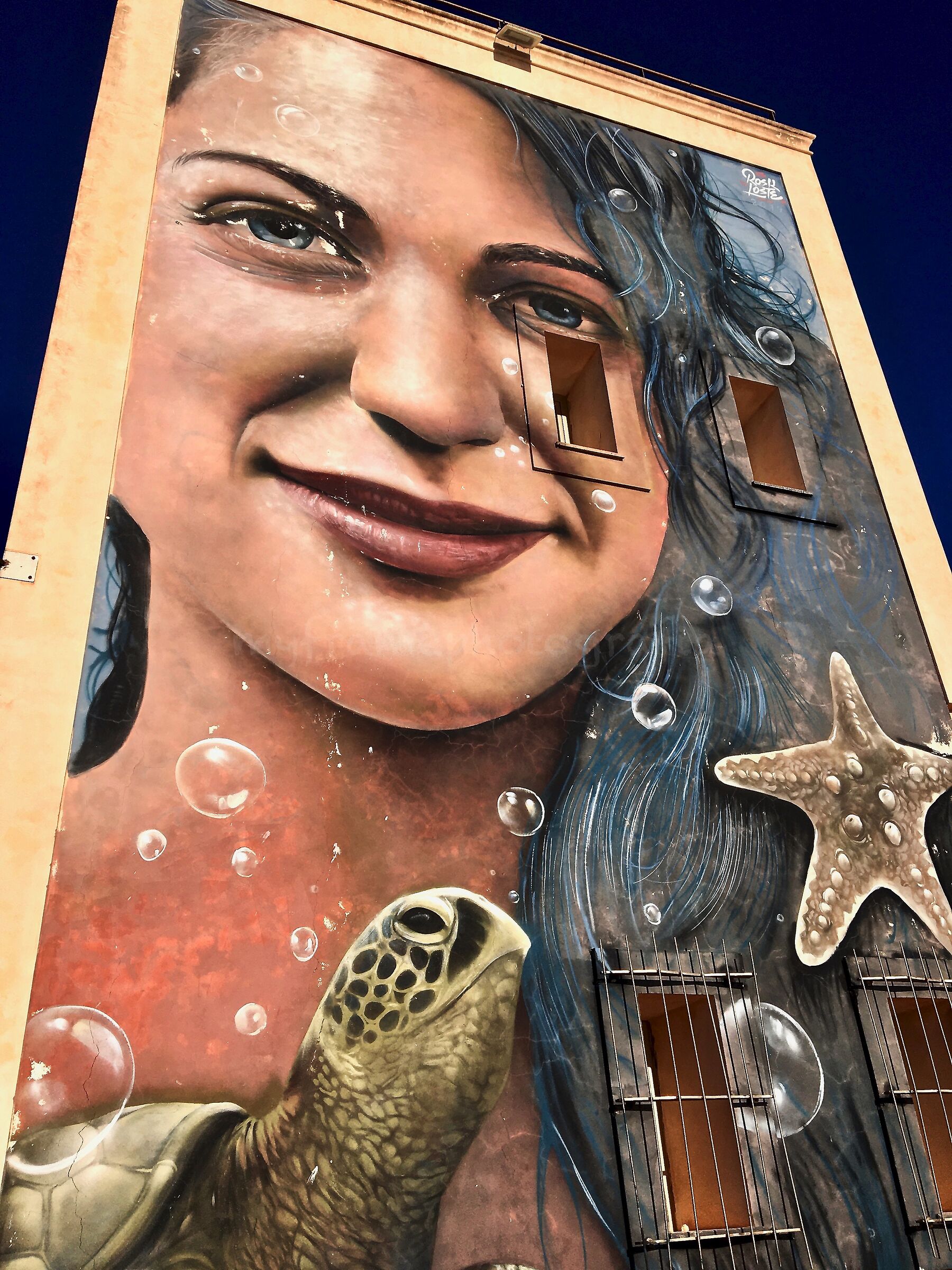 Face