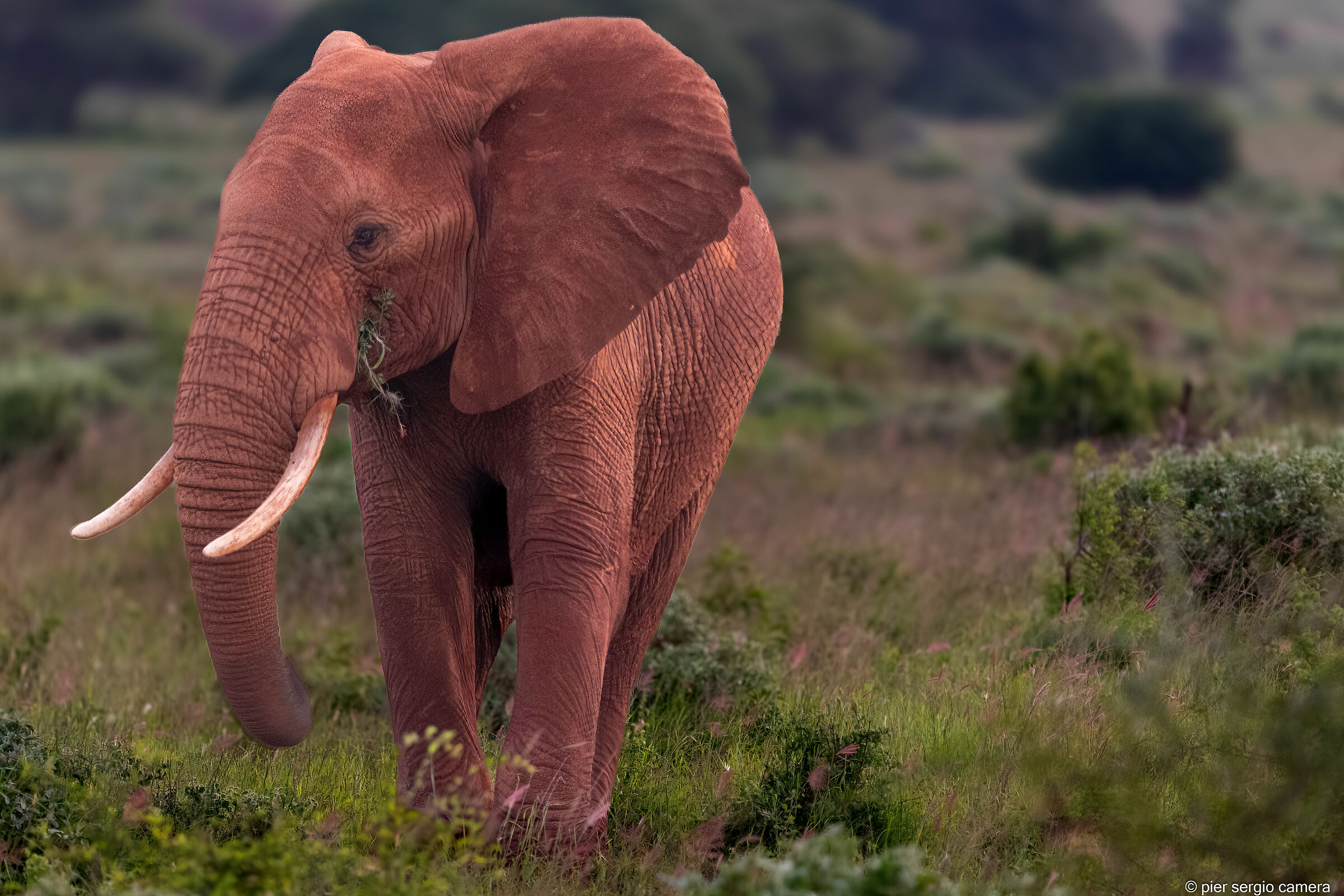 Dopo un... bagno di sabbia rossa