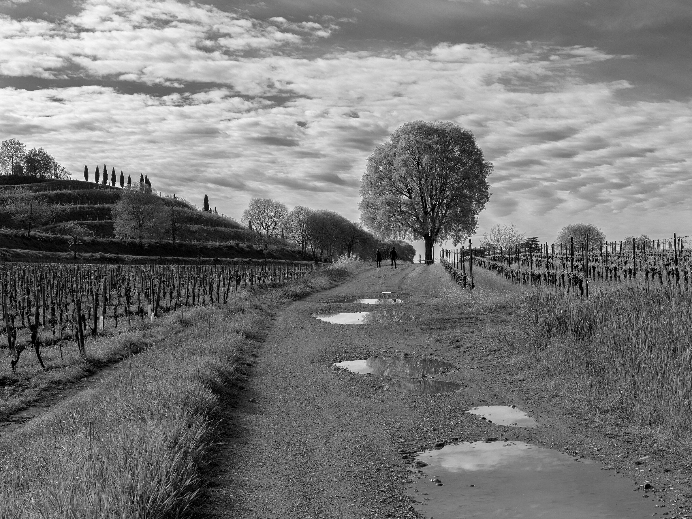 Roads of Franciacorta