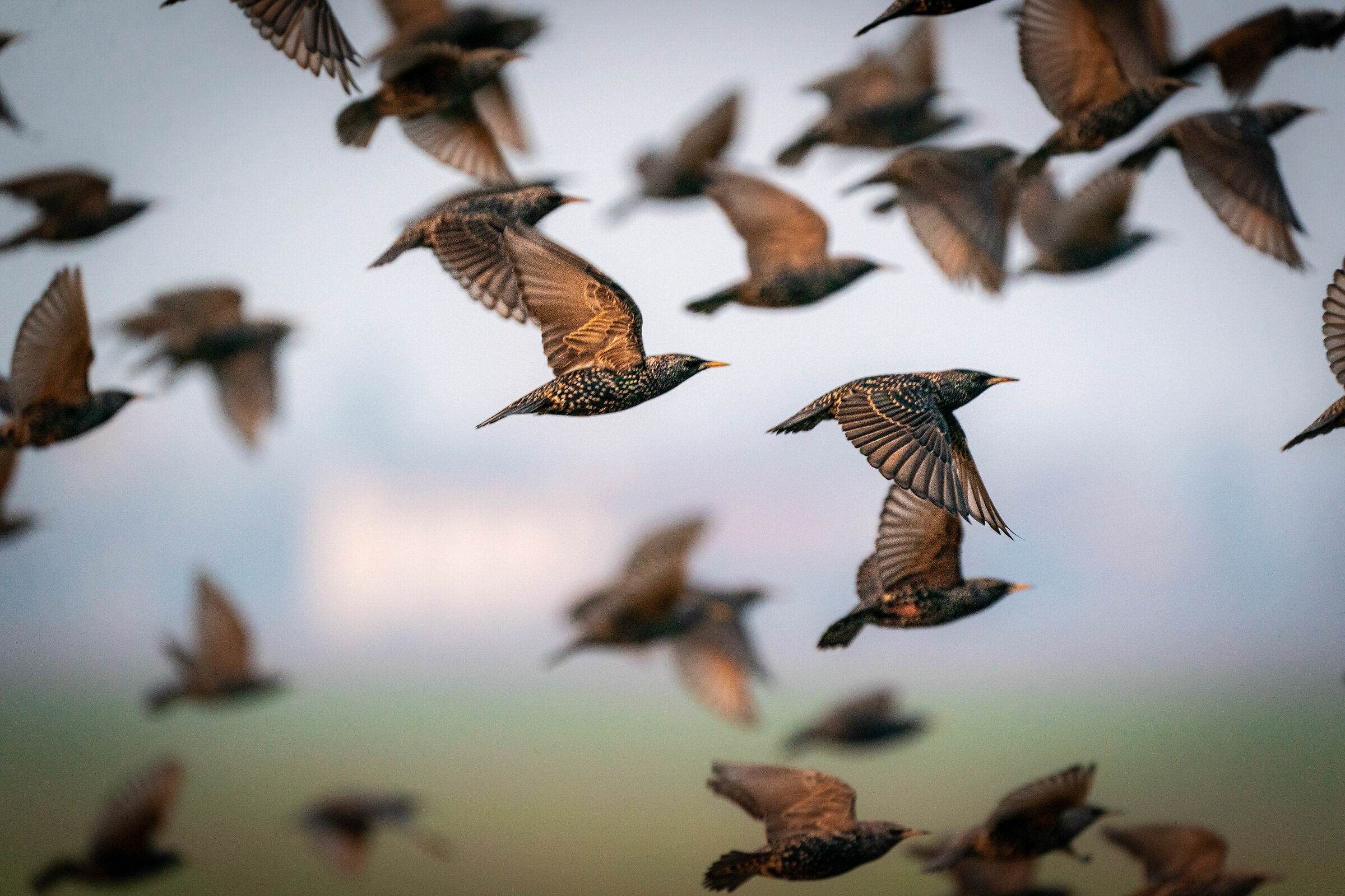 7 seconds till the end