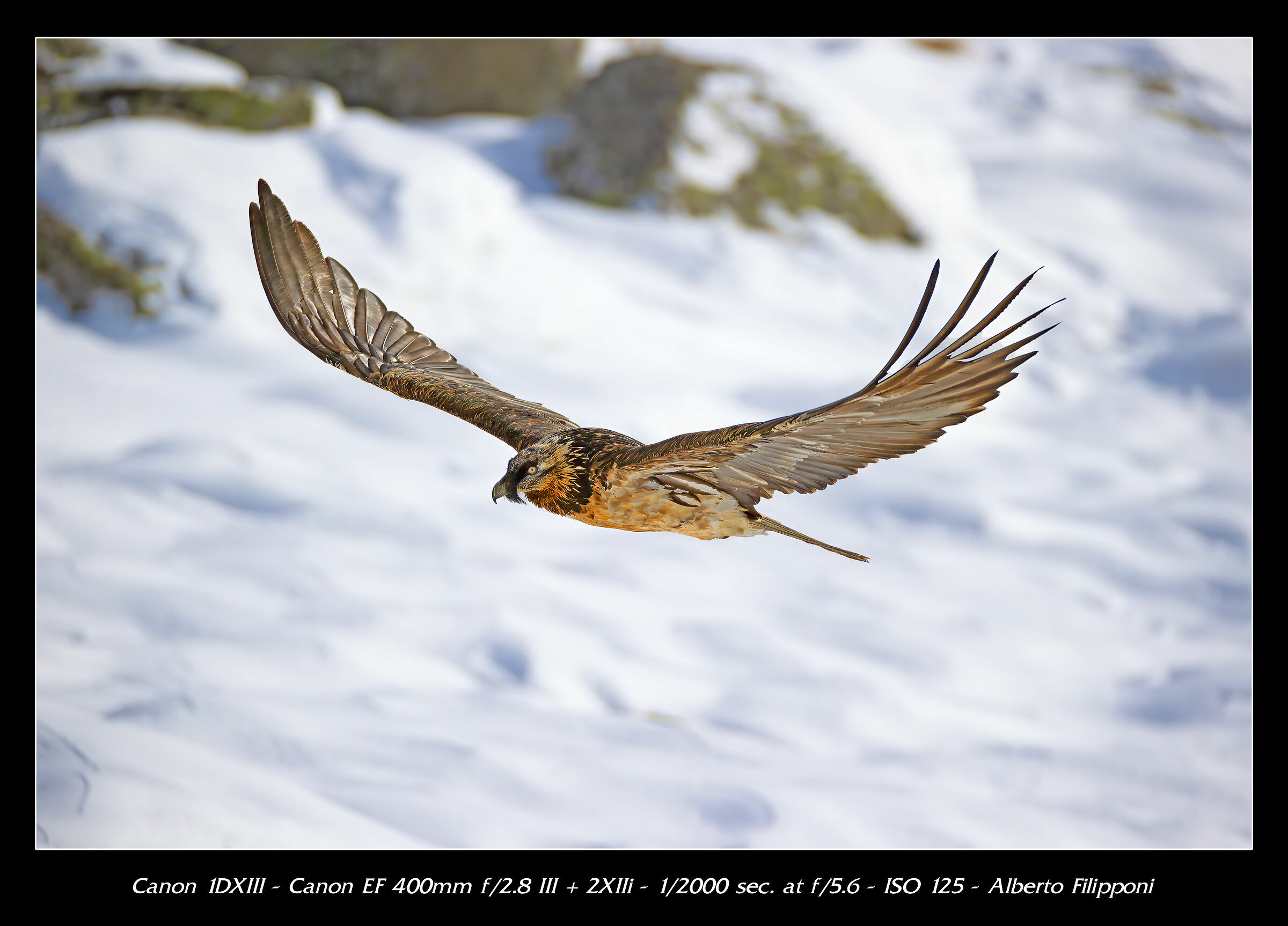 Gipeto airshow no crop