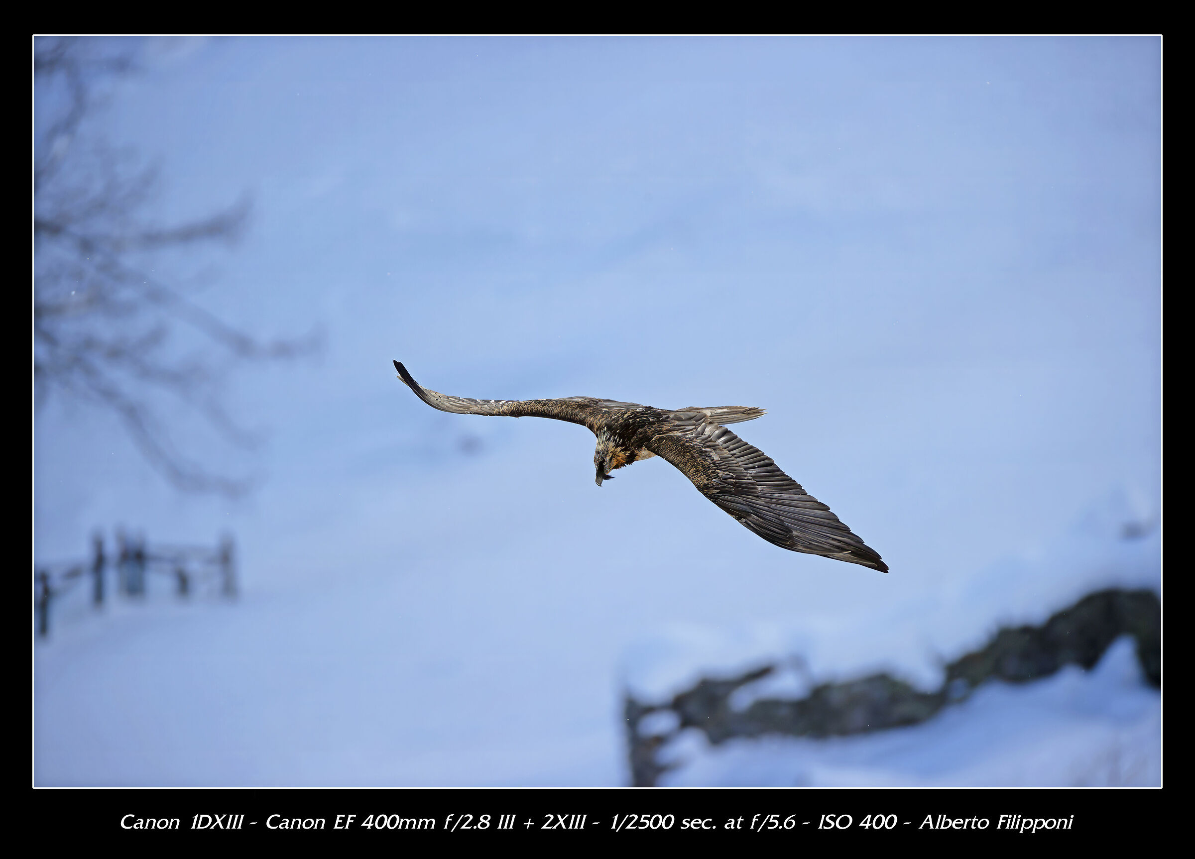 Gipeto airshow no crop