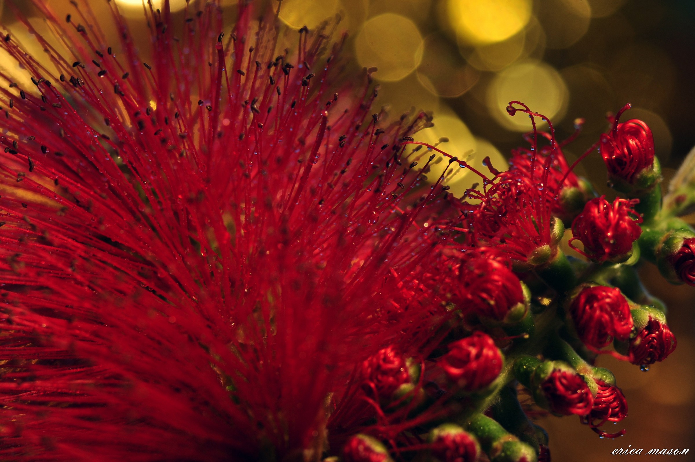 il colore della passione