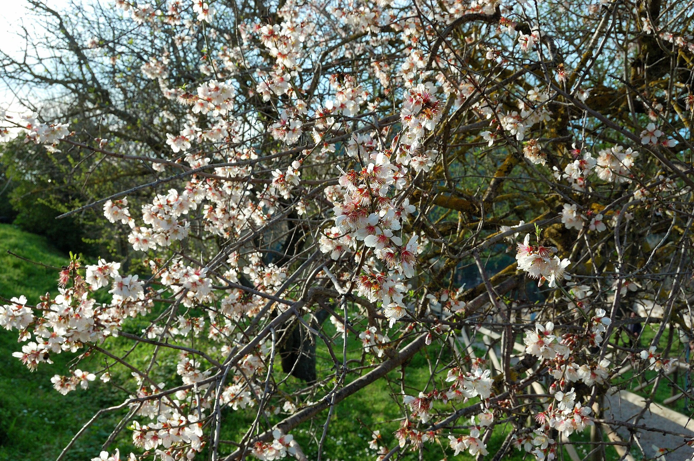 Aria di Primavera 2
