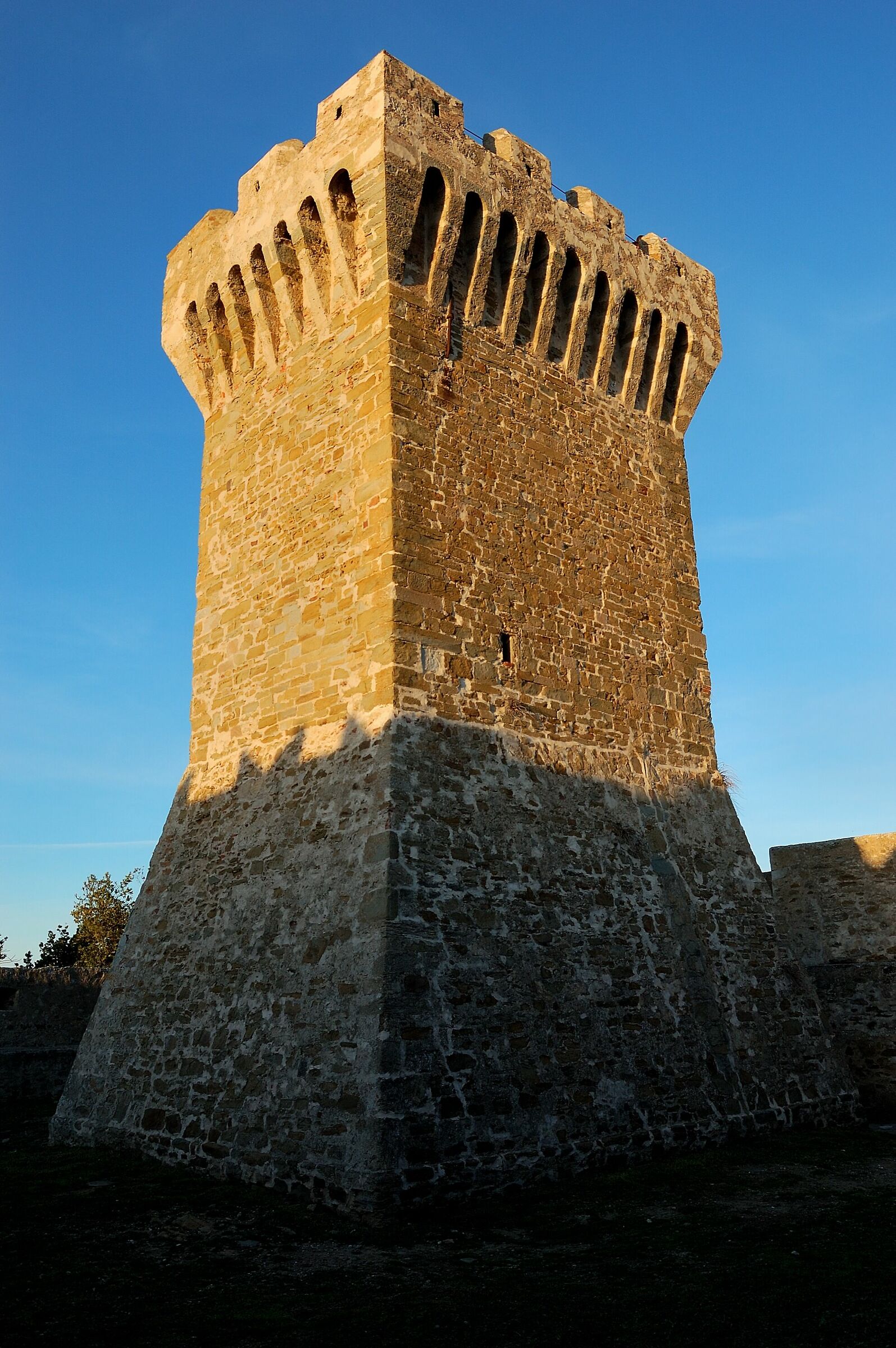 Populonia 4