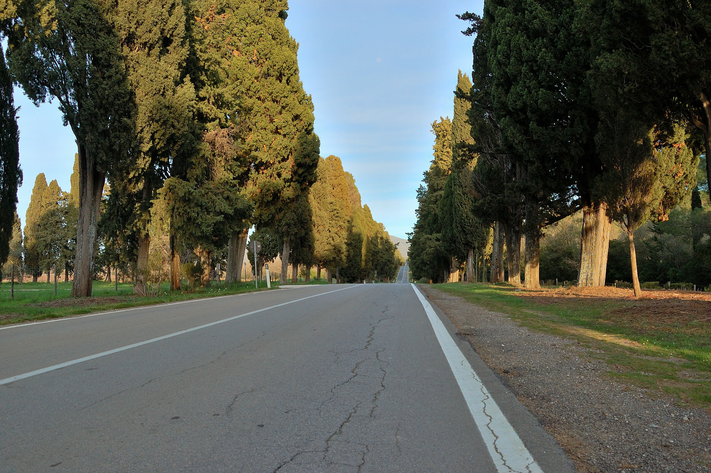 Strada Bolgheri 2