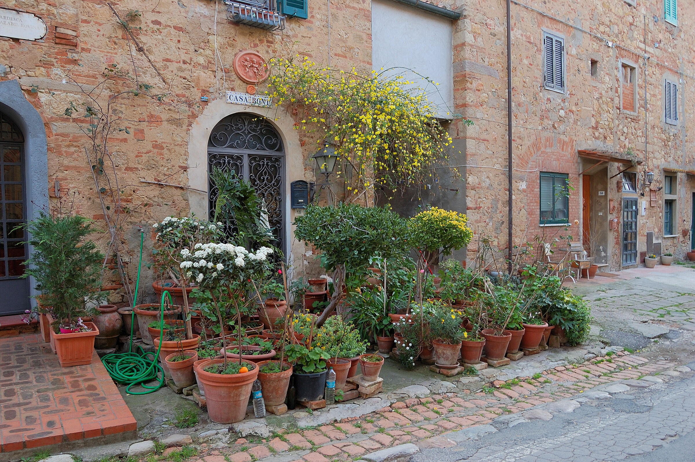 Bolgheri-