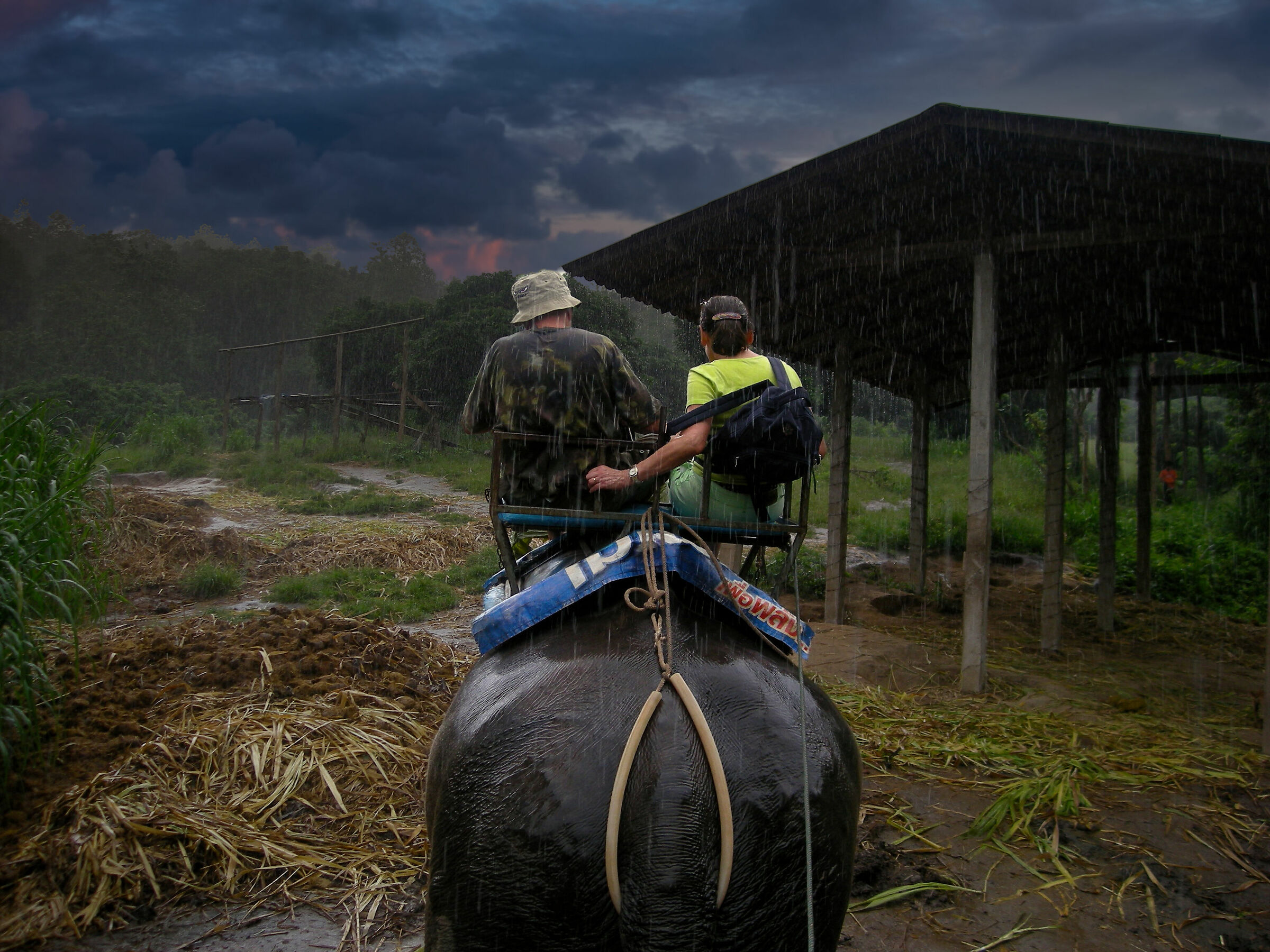 Tempo di monsoni a Chiang Mai- 2008 Nikon Coolpix P15