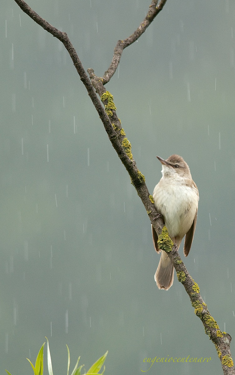 it rains, it rains feel like ...