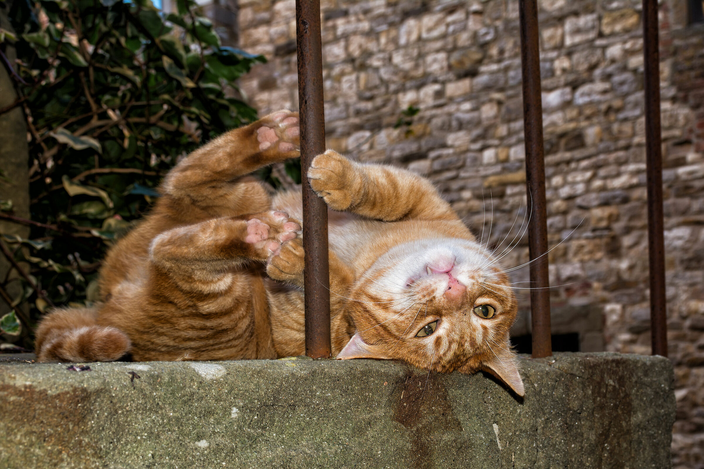 The world turned upside down