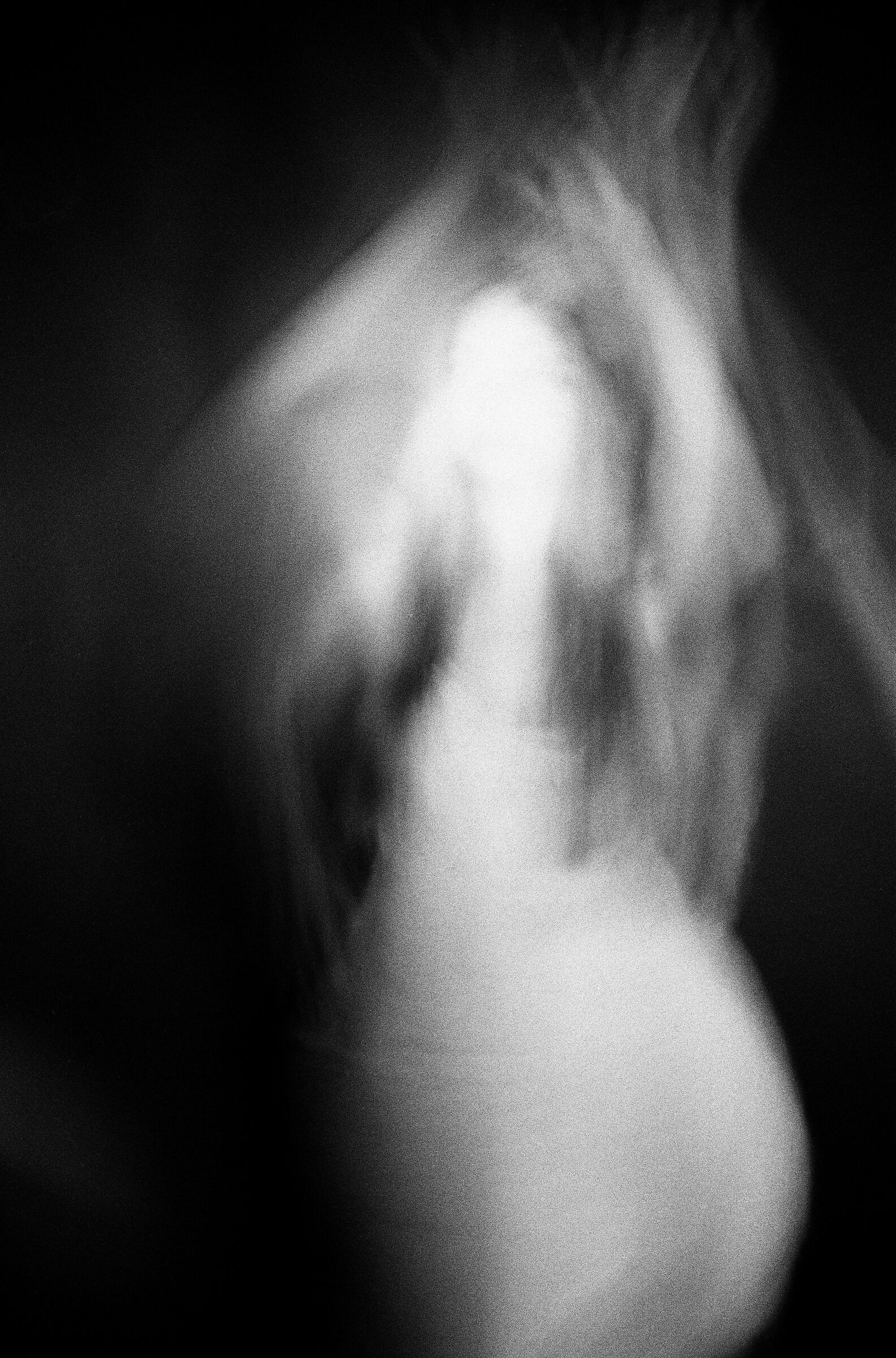 process of metamorphosis 2/2