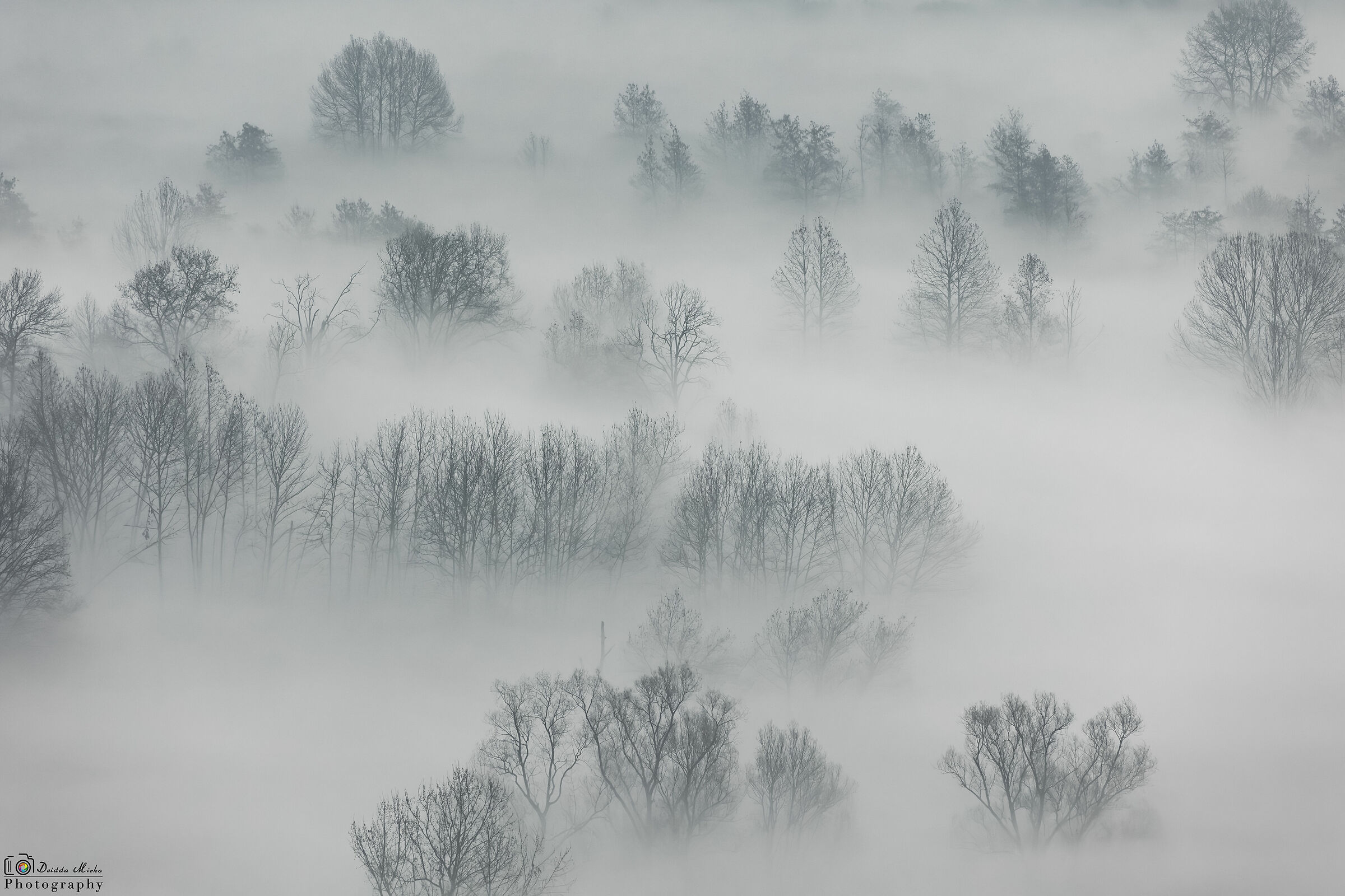 Dispersi nella nebbia