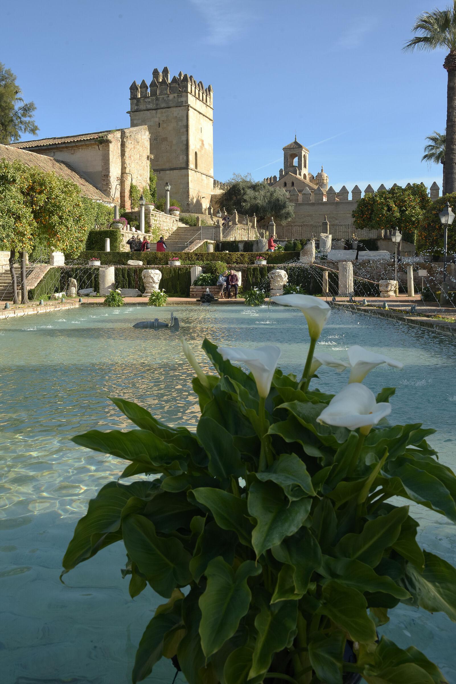 Jardines del Alcázar de Cordoba