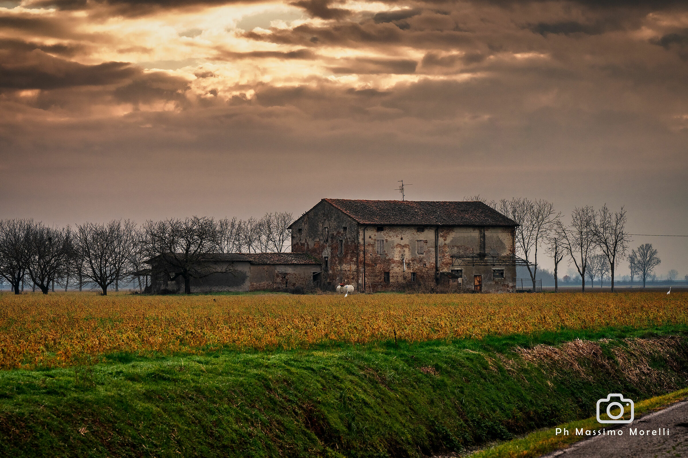 La campagna nei pressi di Zibello