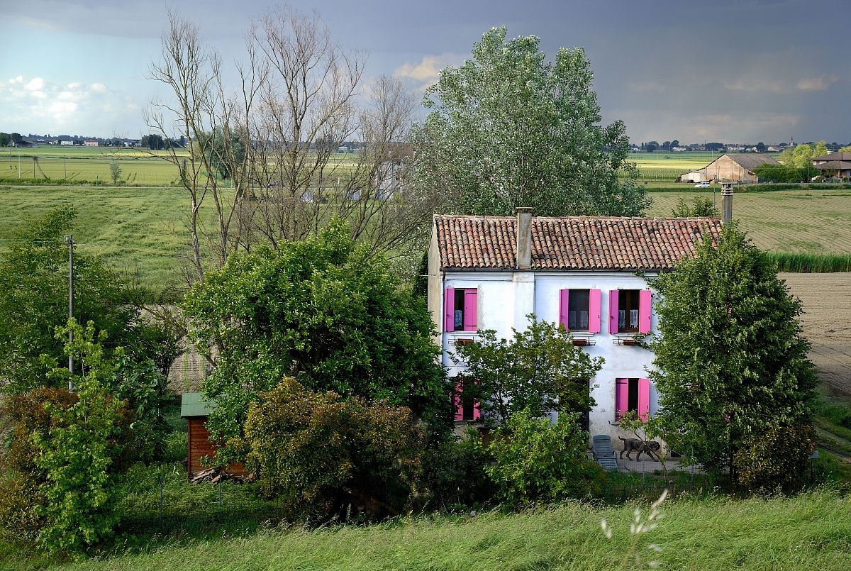 Un po' di rosa nel verde