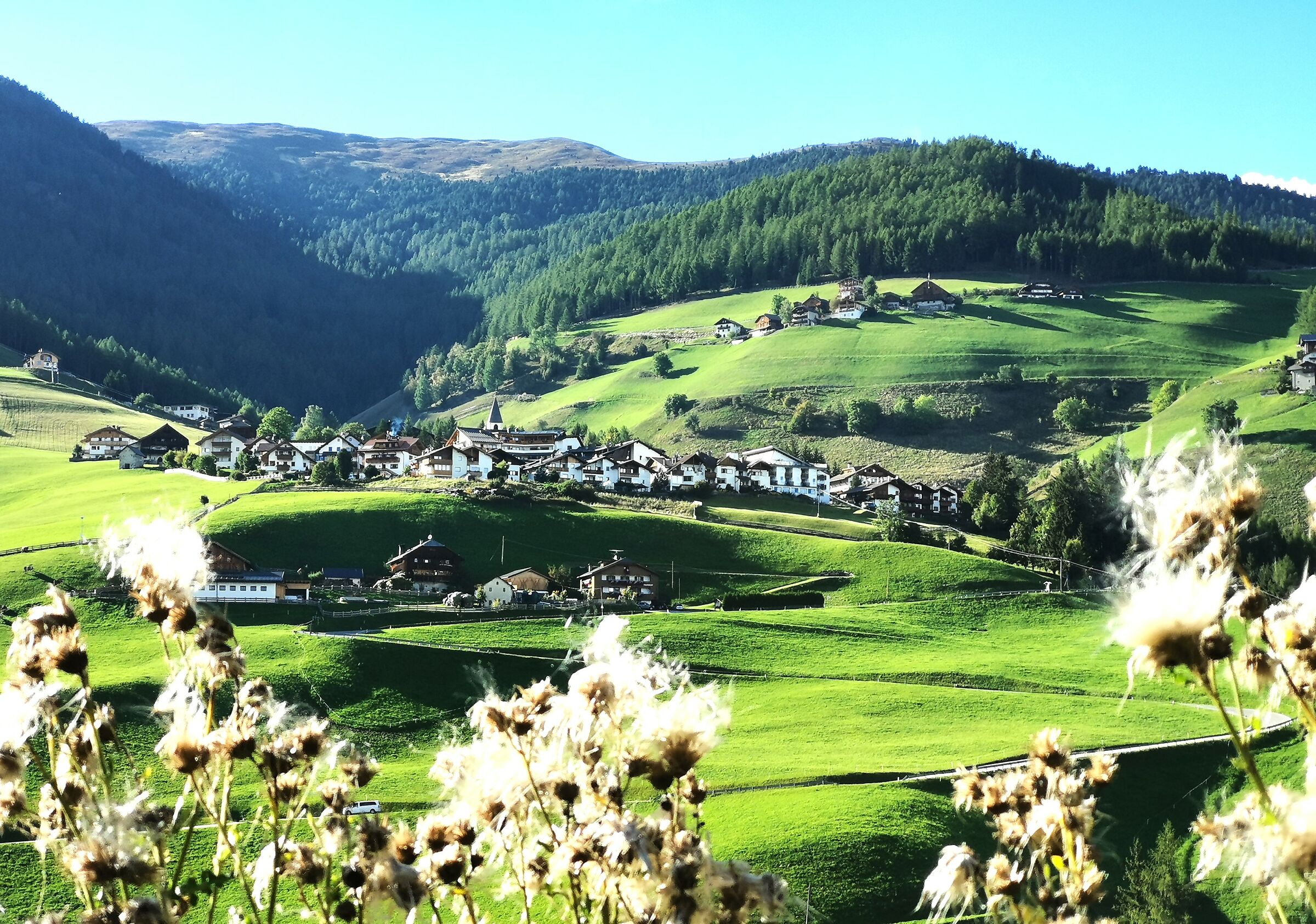 Antermoia - Val Badia -