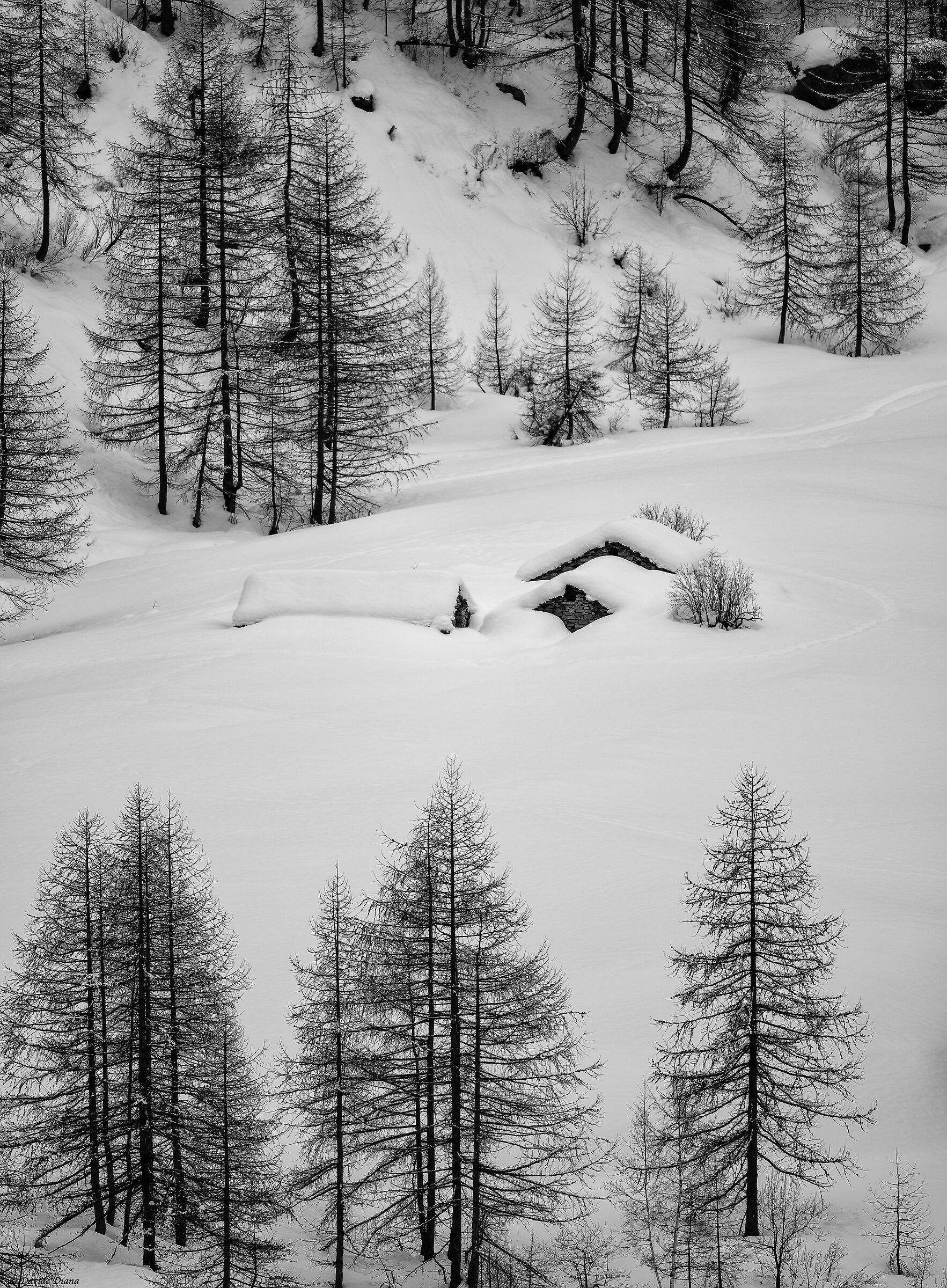Gran Paradiso National Park - Piedmont