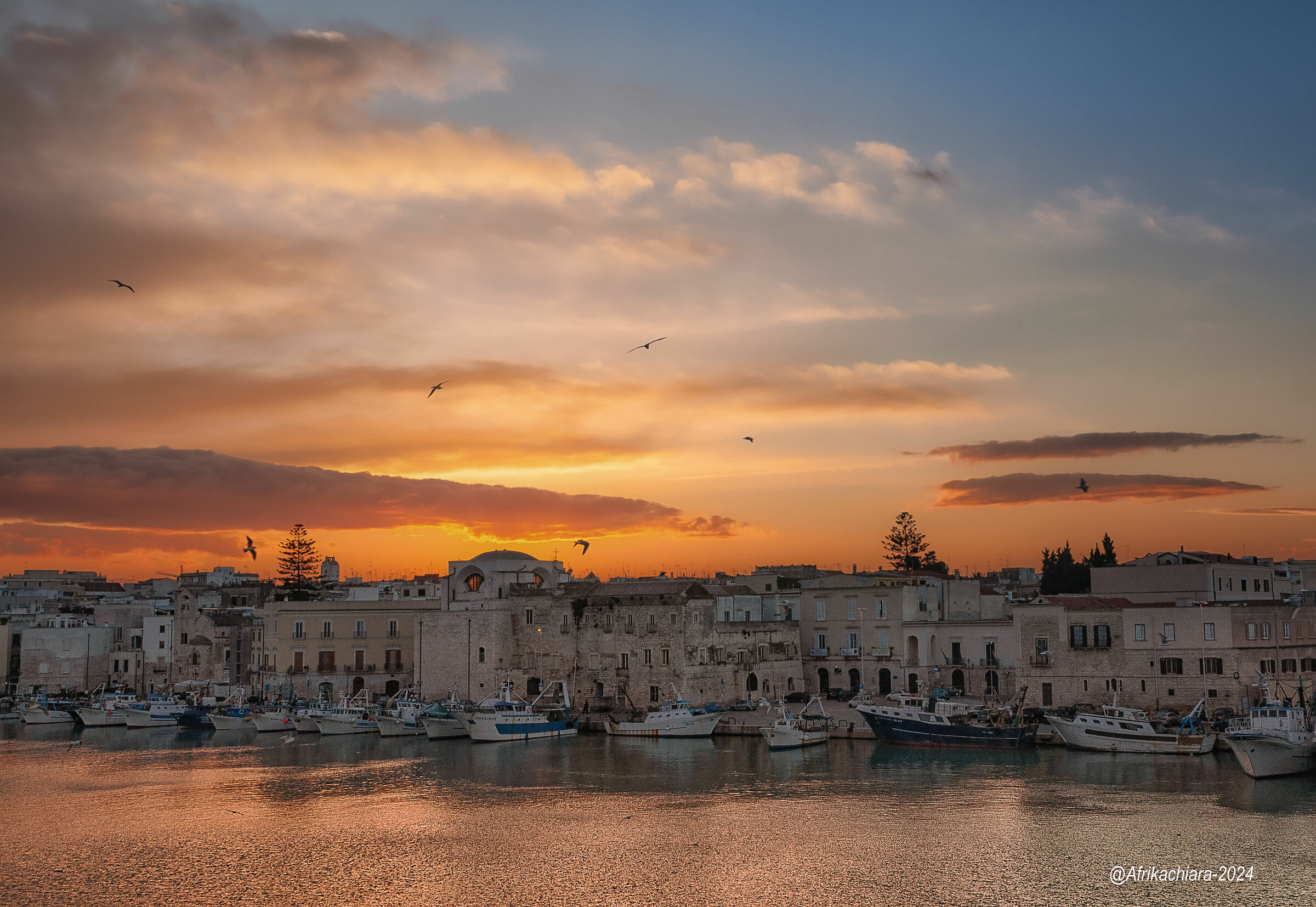 Gabbiani al tramonto