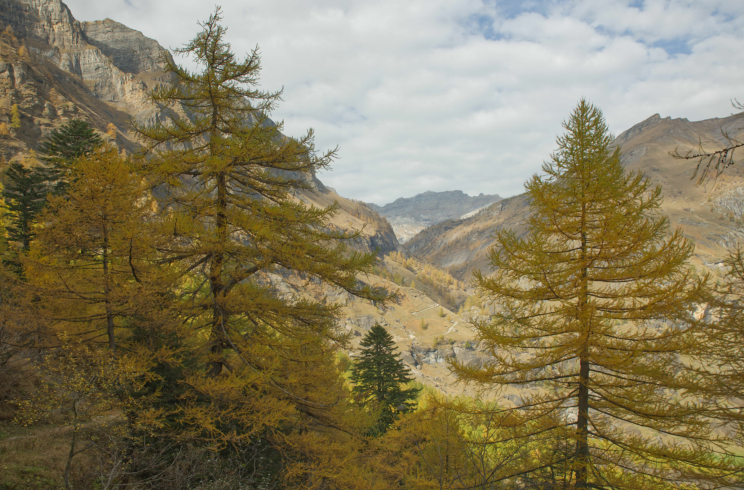 autumn in Valdivedro 2022