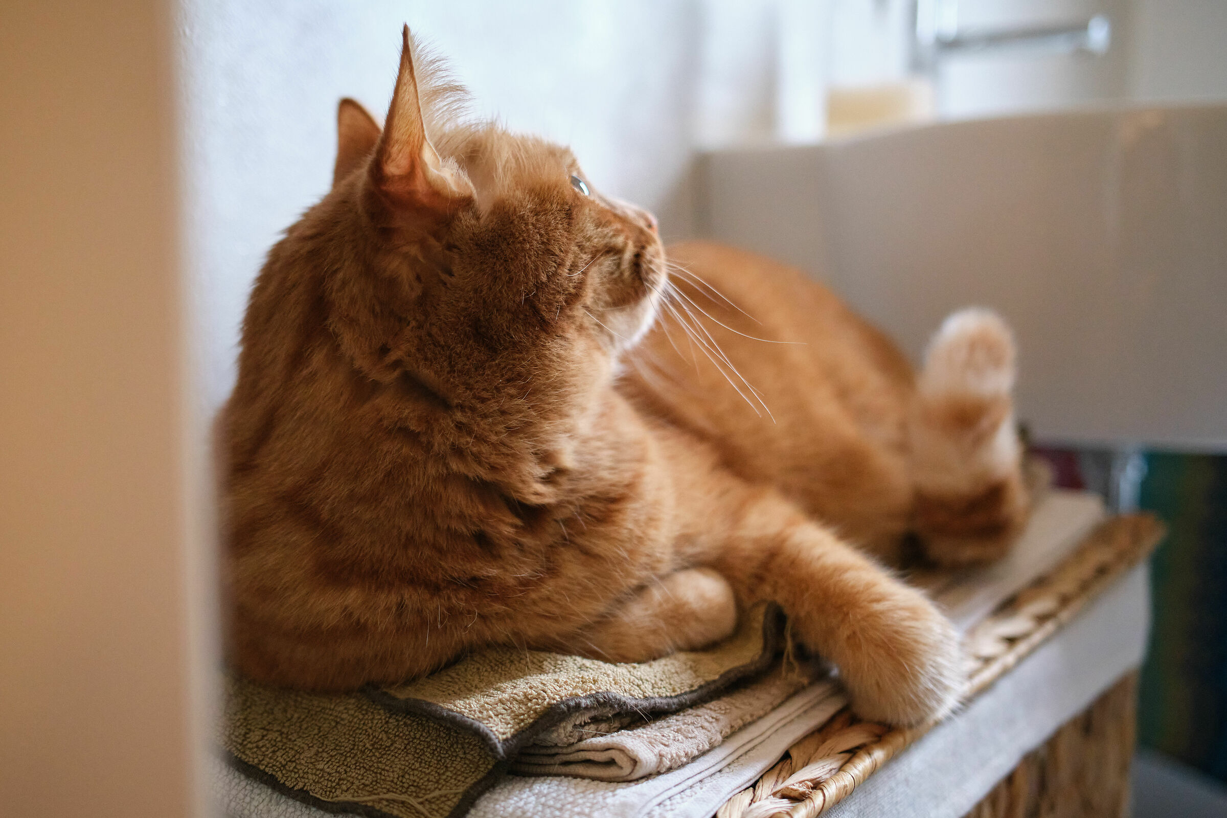 The dreaded noise of ISO 6400