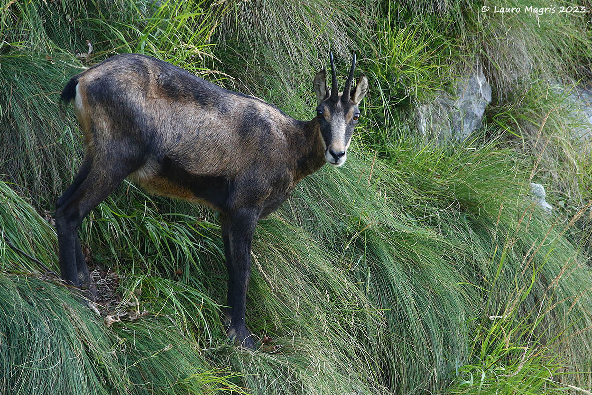 We scrutinize each other