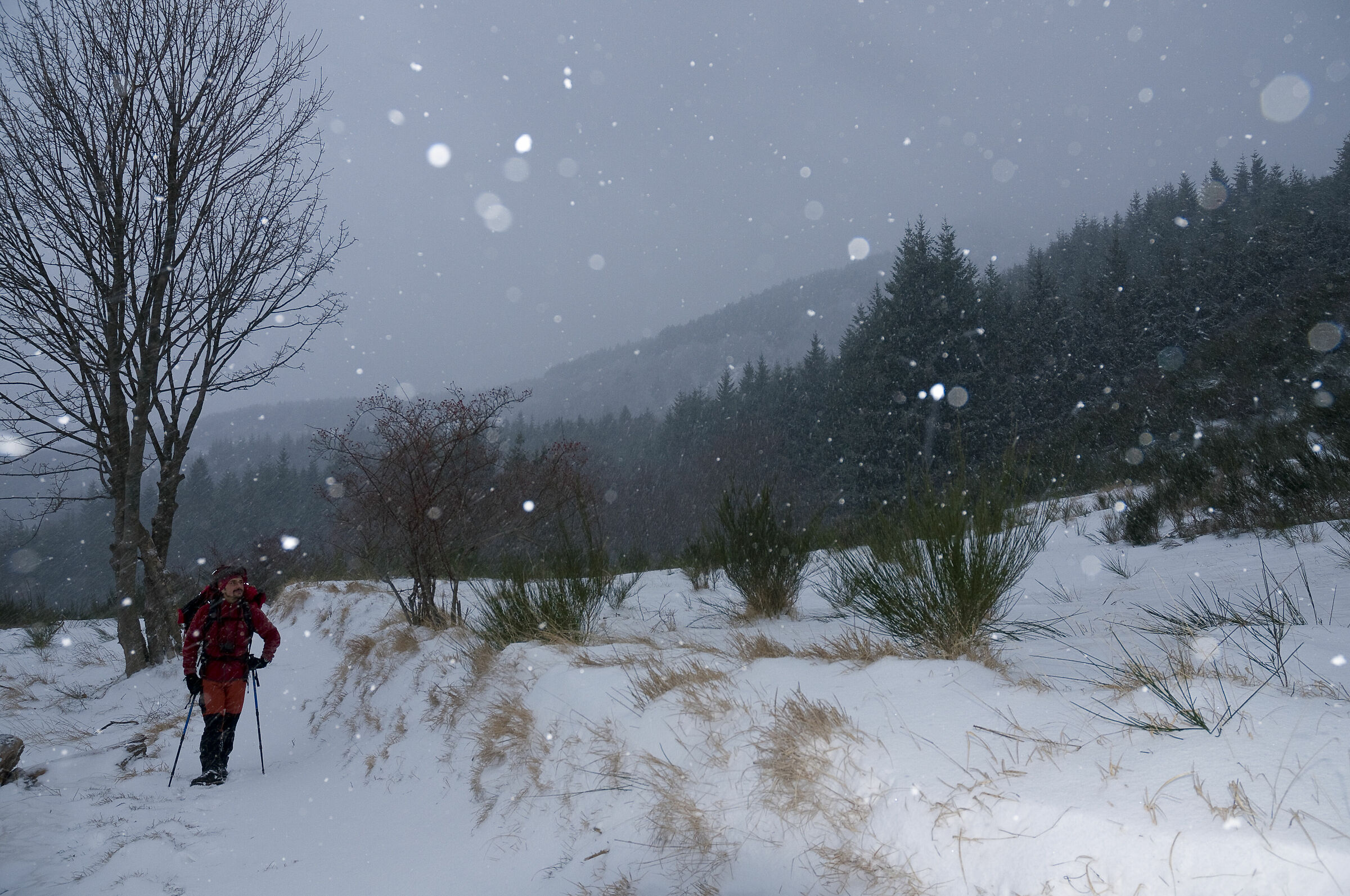 Nevicata in appennino