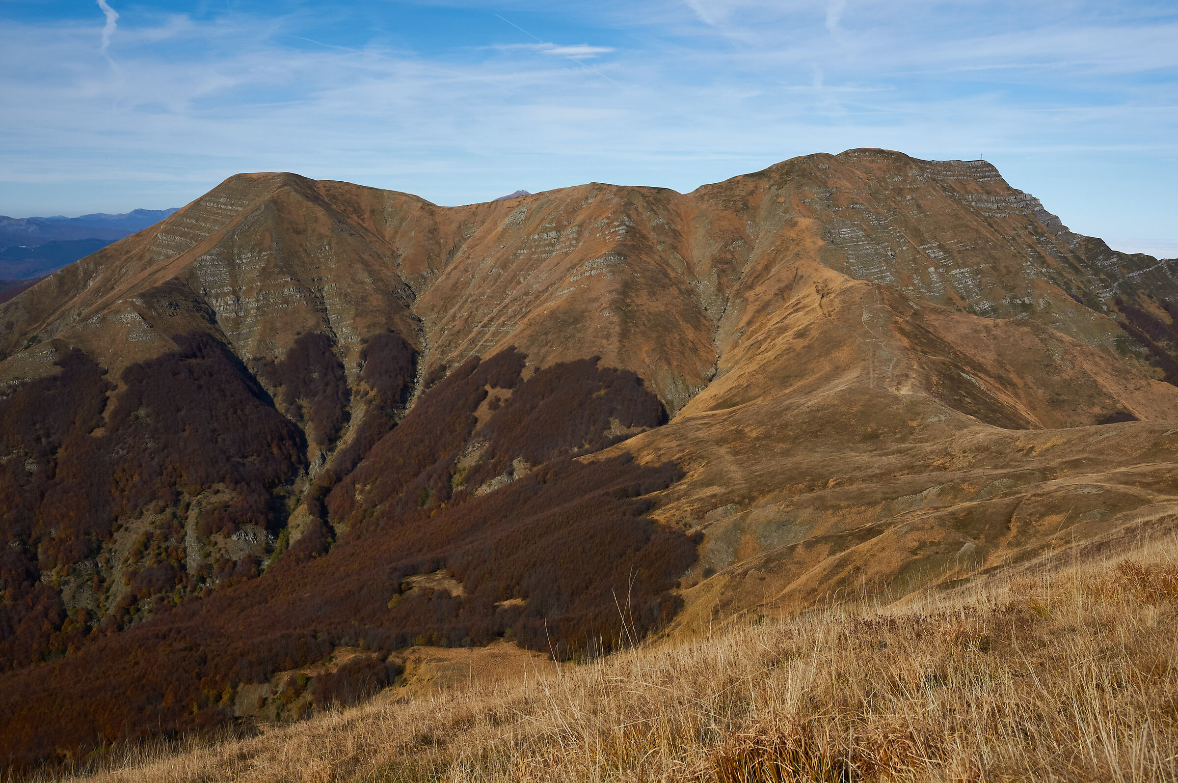 Monte Gennaio (App.Pistoiese)