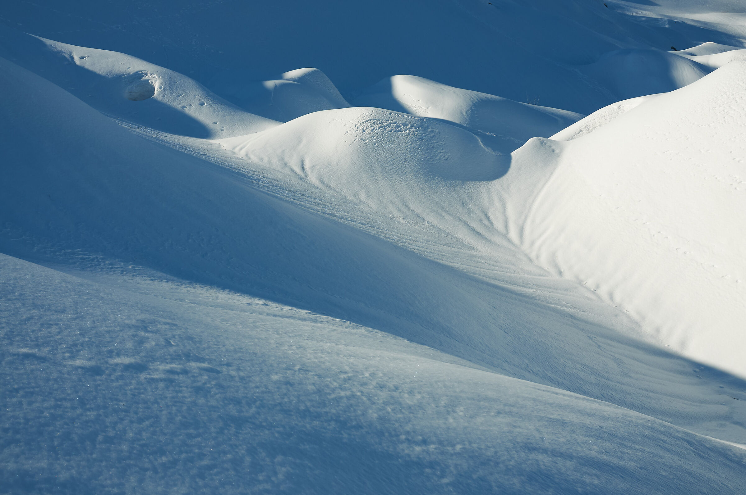 Cumuli di neve (Nord della Pania Secca)