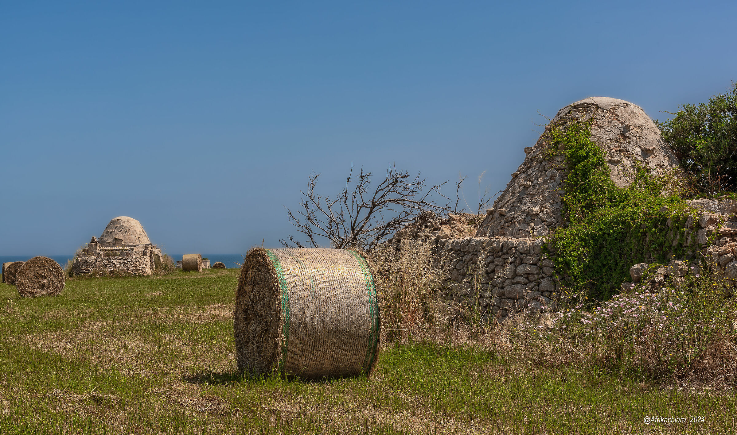 Dal paleolitico in poi...
