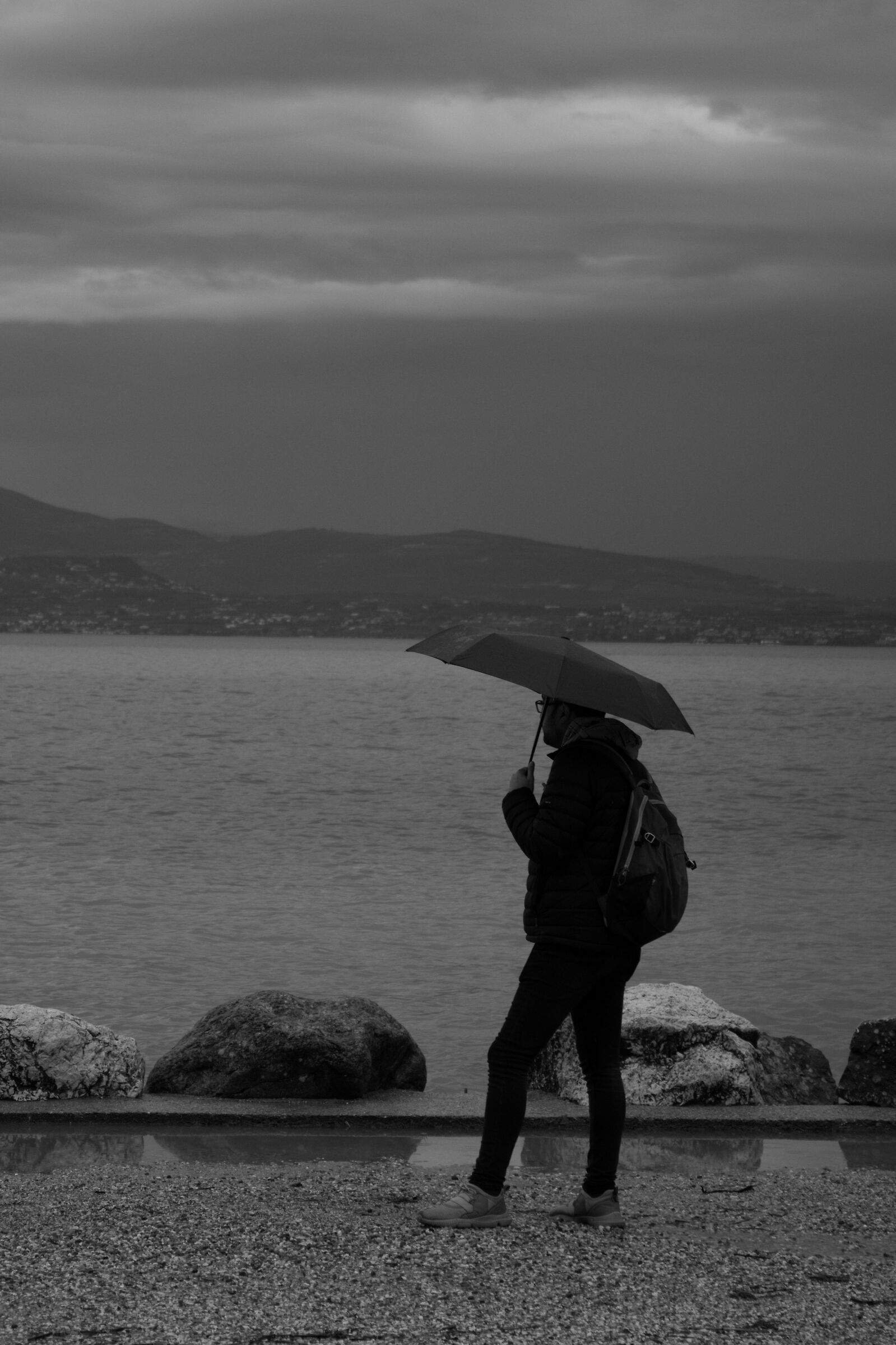 The Wayfarer on the Lake